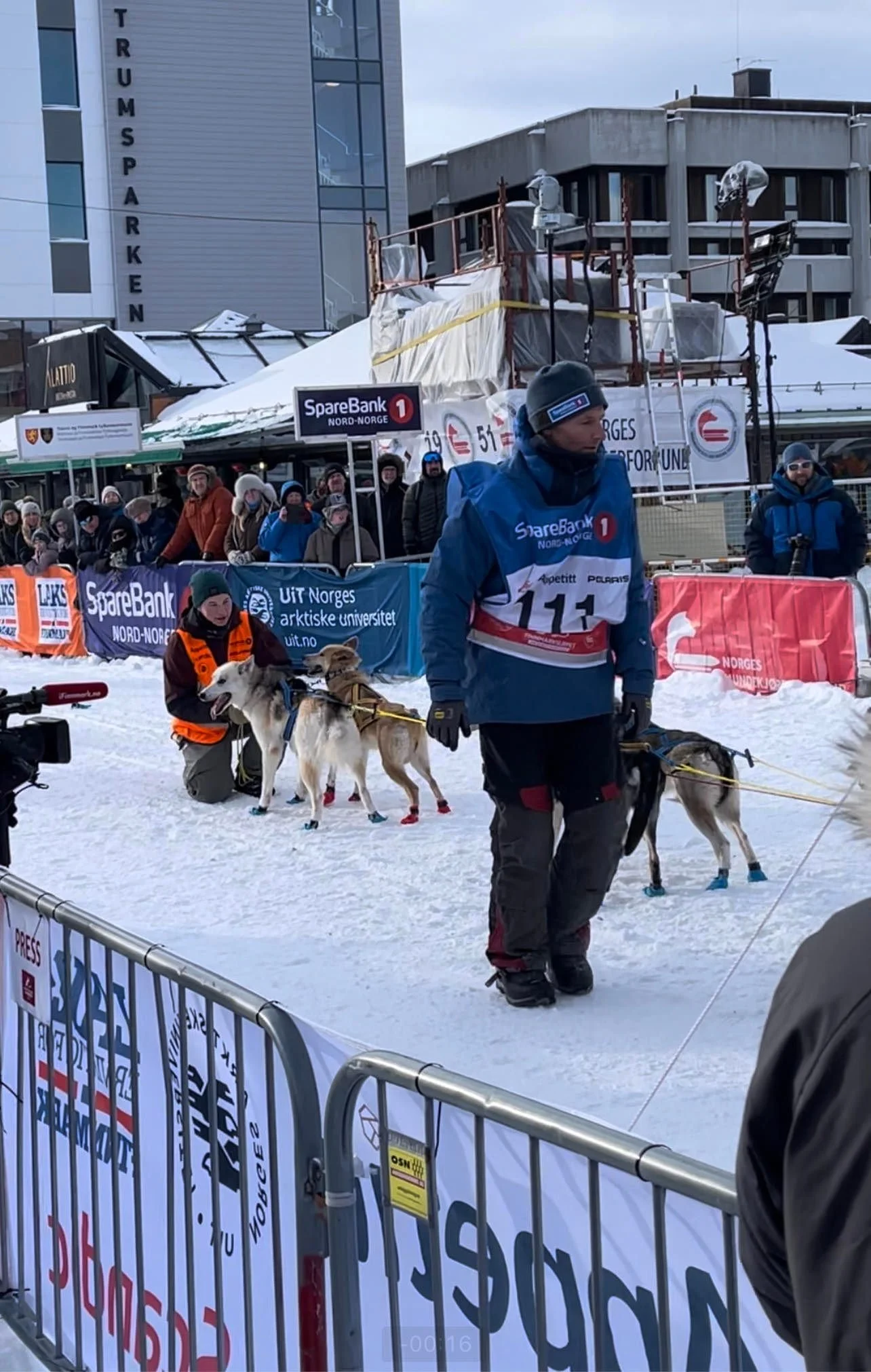 Bjørnar i Finnmarksløpet