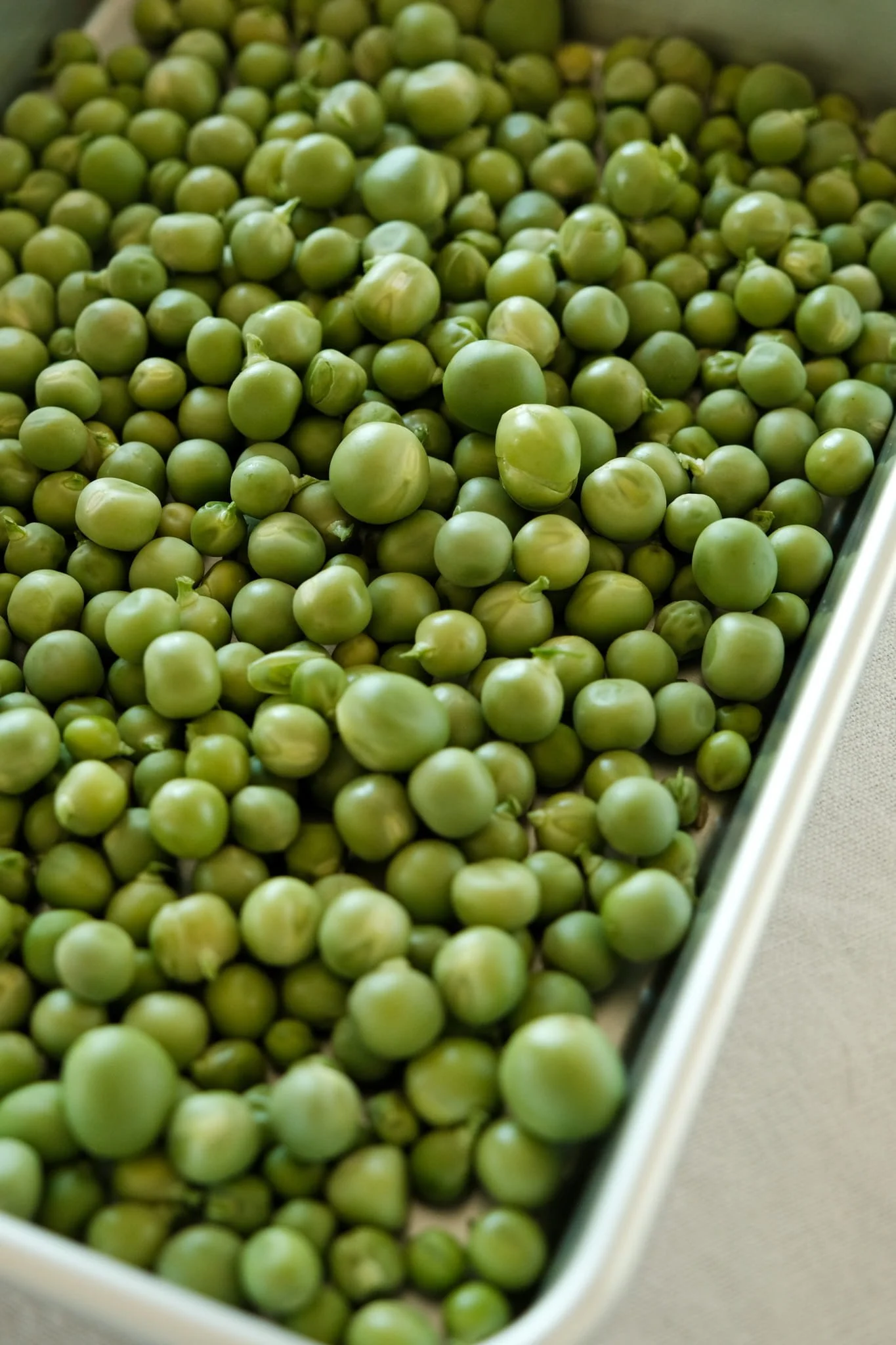 Petits pois frais fraîchement écossés dans un bac, prêts pour accompagner un poulet rôti printanier.
