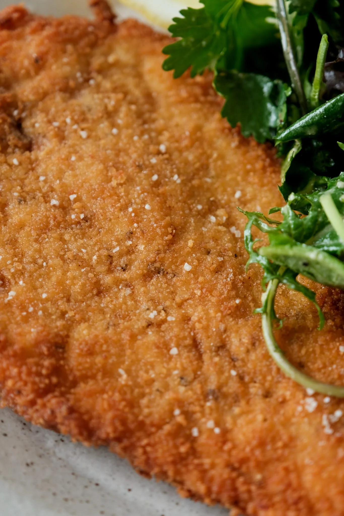 Gros plan sur la panure dorée et aérienne d'un véritable schnitzel, parsemée de cristaux de fleur de sel pour un croustillant parfait.