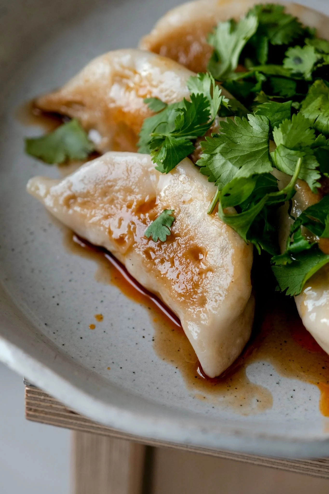 Assiette de gyozas maison garnis et dorés, préparés lors d’un cours de cuisine japonaise conviviale.