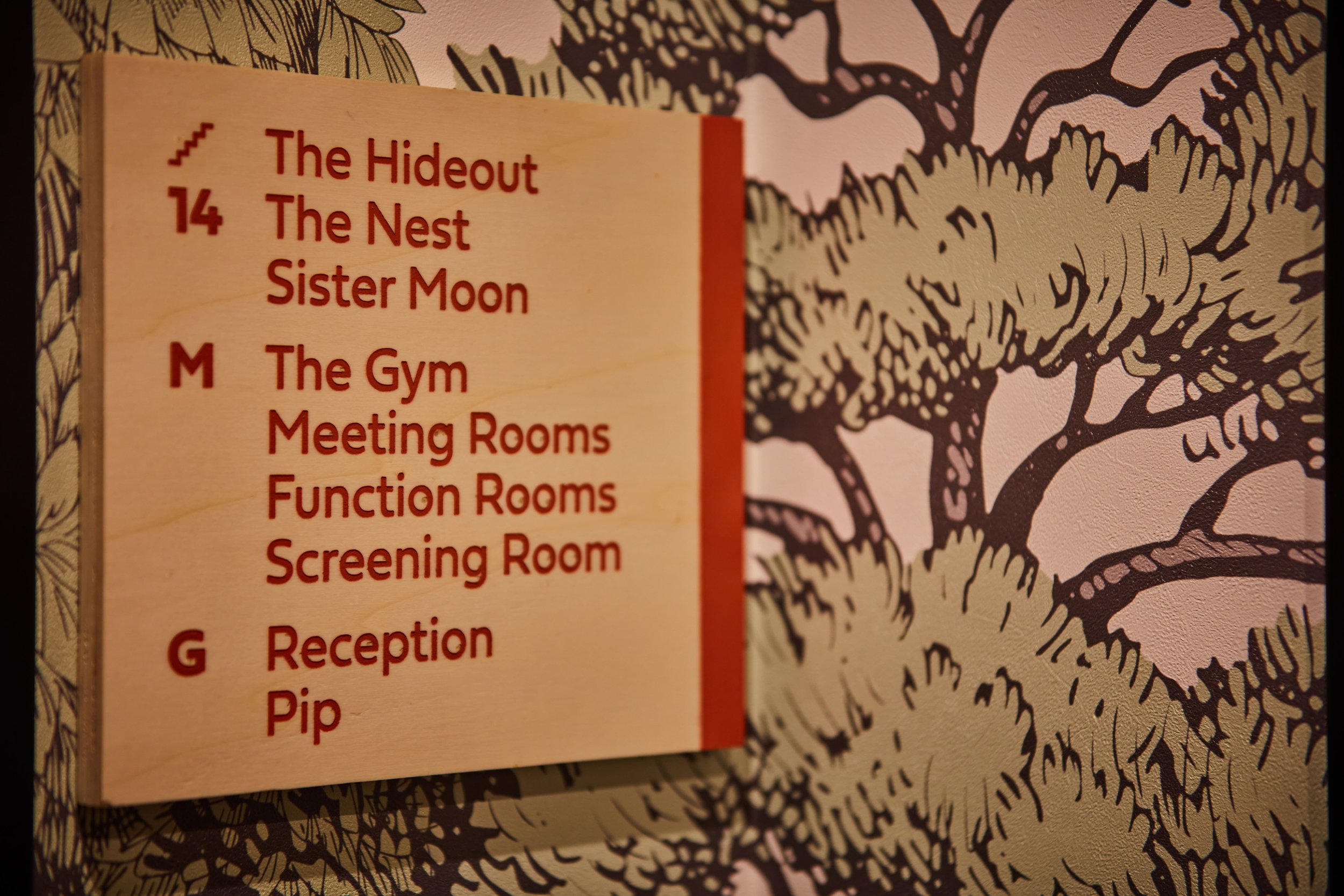 Treehouse (Manchester) 0238.jpg