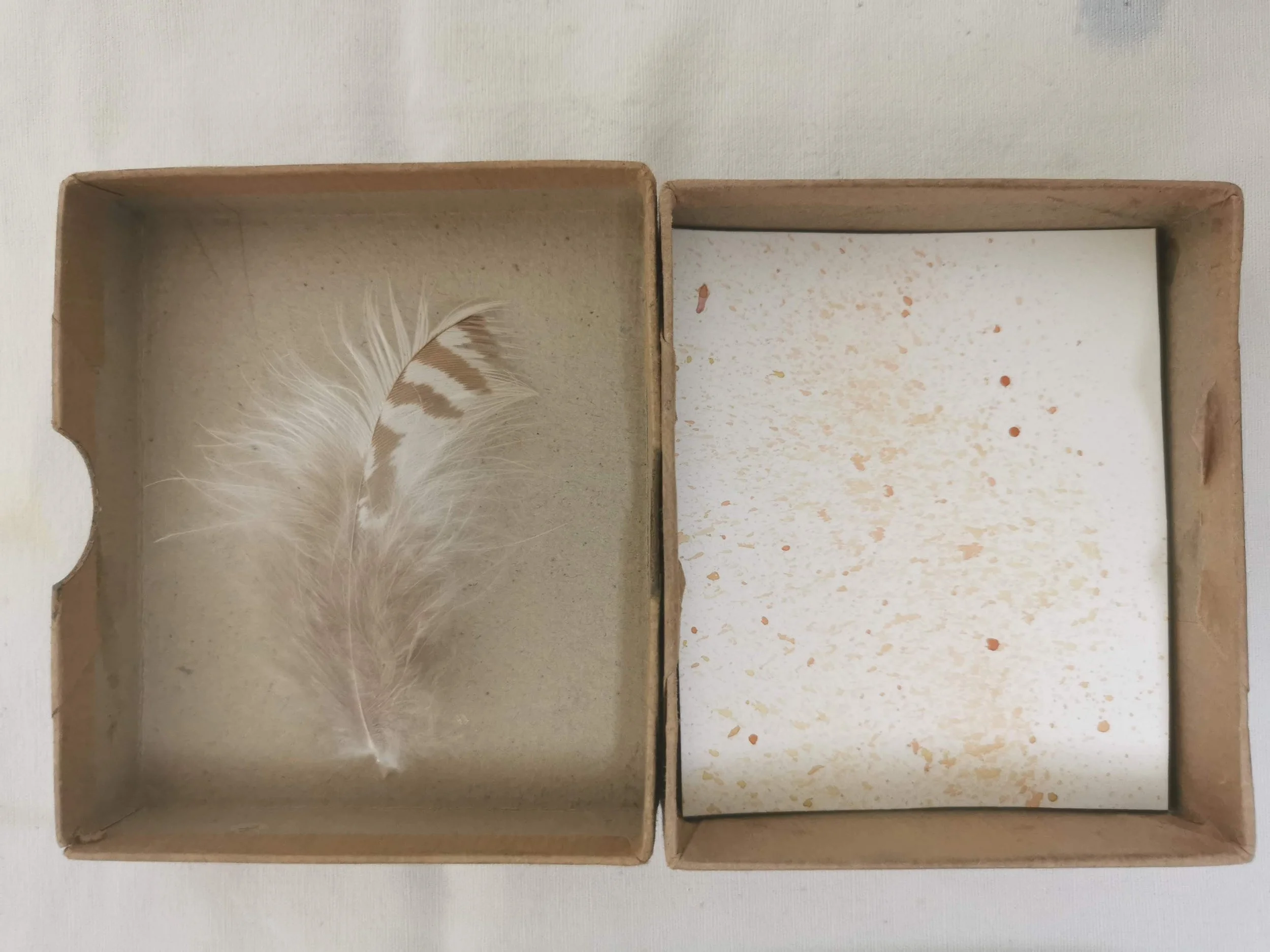 IMG_20250516_115531.jpg