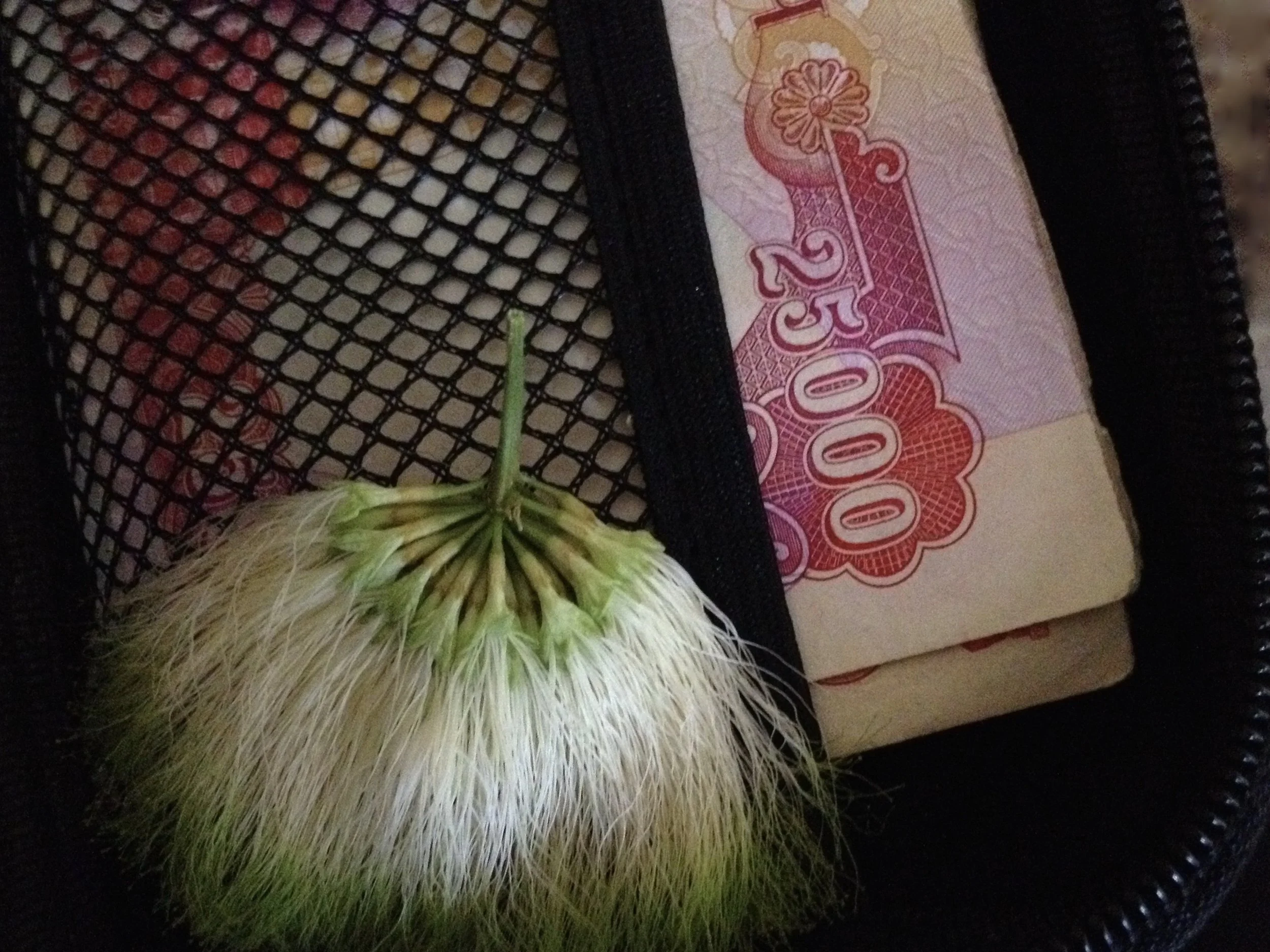 The Iraqi Dinar - what it’s worth and where to get it