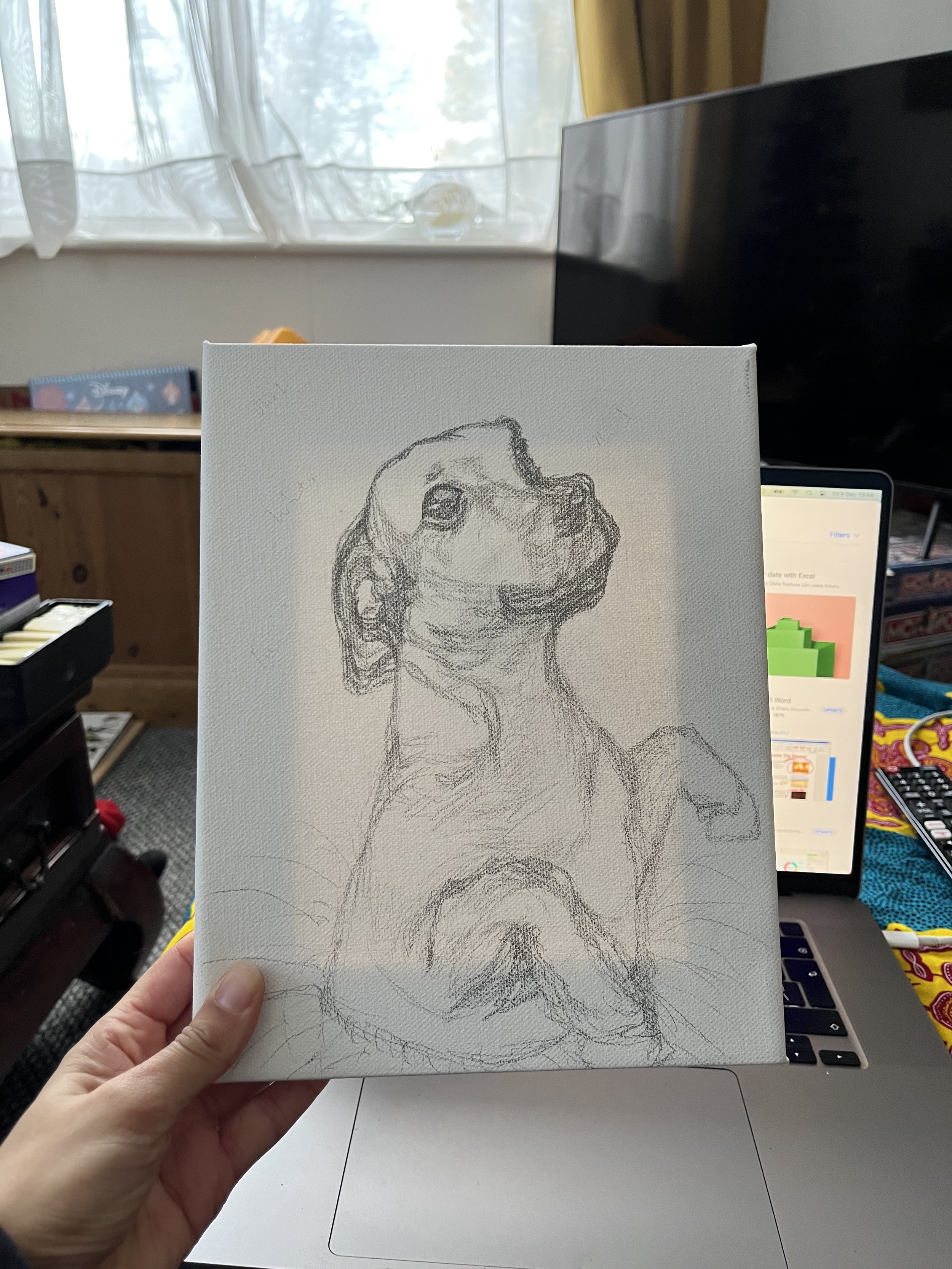 IMG_6365.jpeg