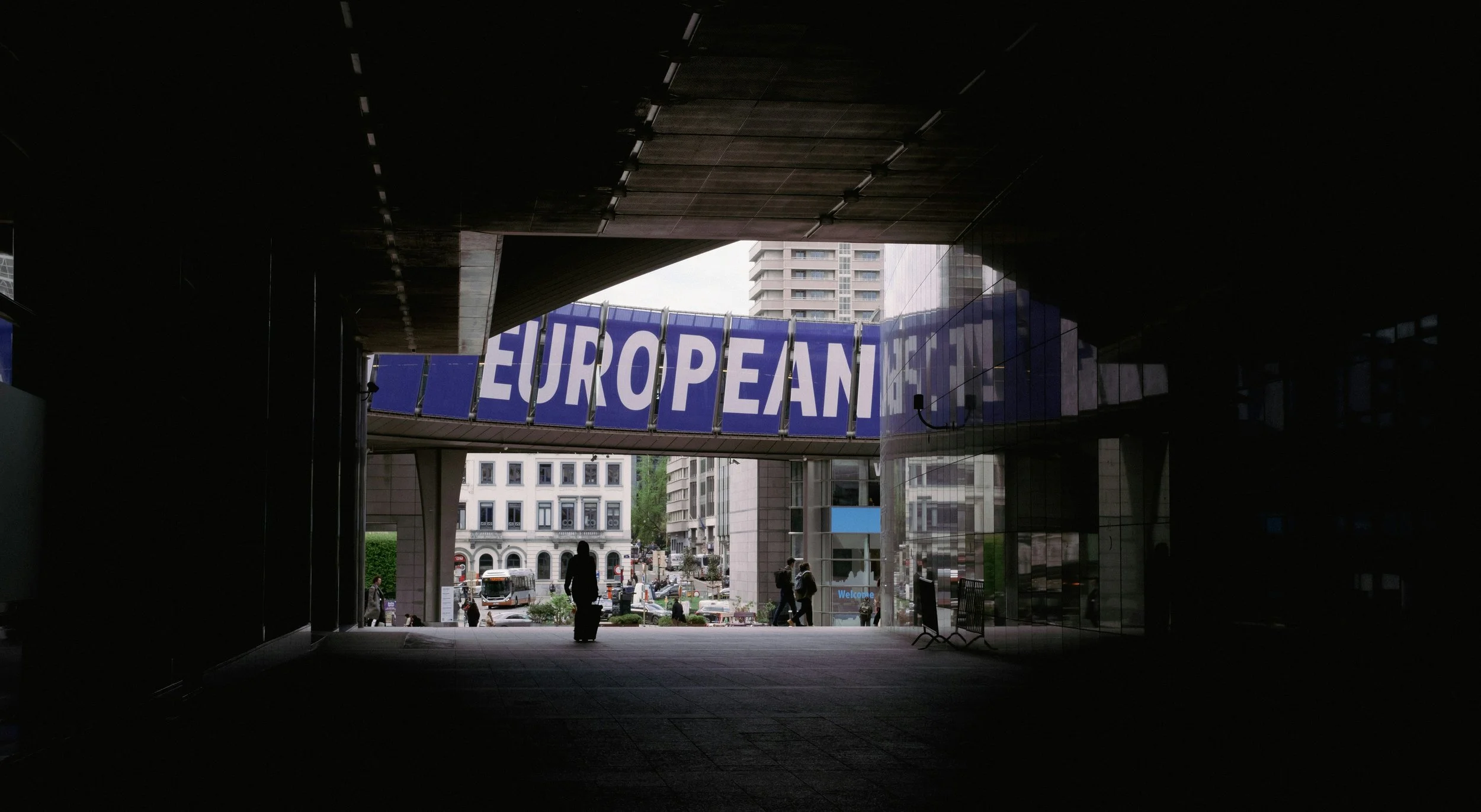 European identity and the Question of Belonging: When Expansion includes Othering&nbsp;