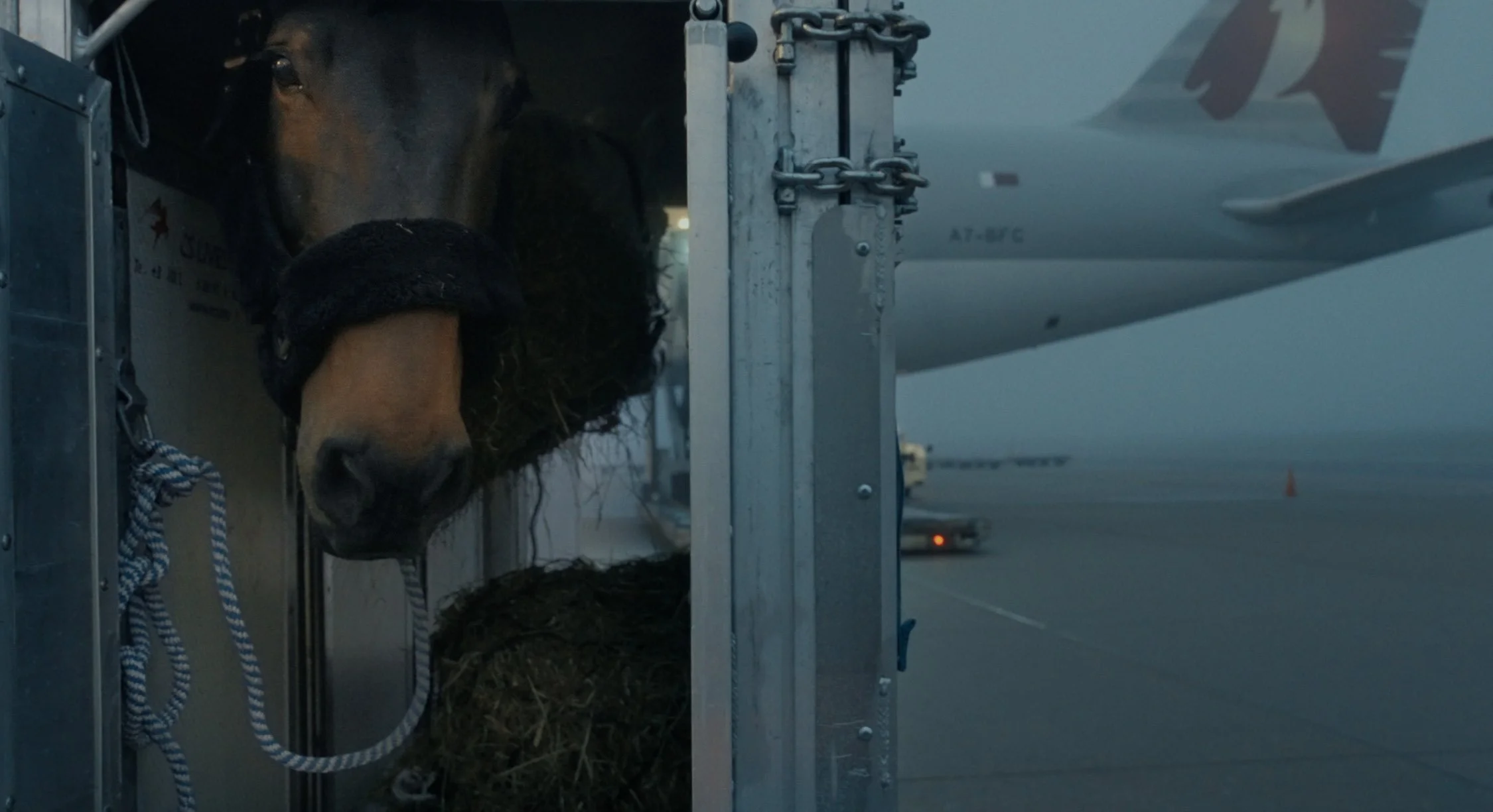 TSFF2026_Documentary_Air Horse One_1.jpg