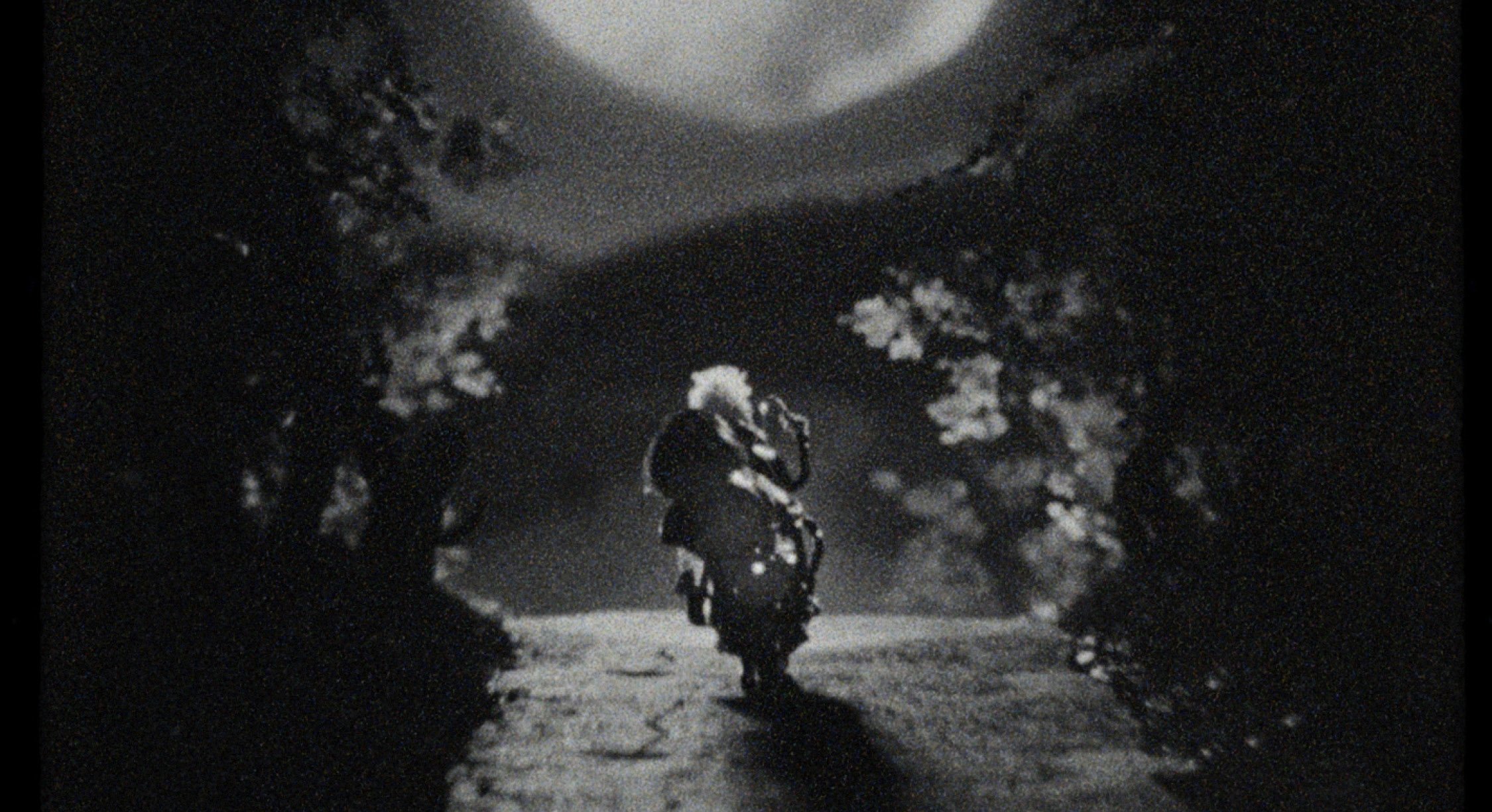 TSFF2026_Animation_Ivar_2.jpg