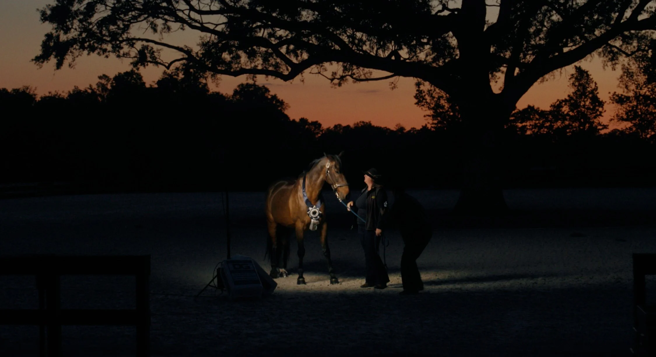 TSFF2026_Documentary_Air Horse One_4.jpg
