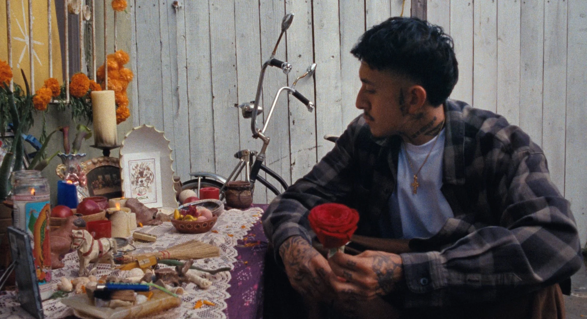 TSFF2026_Music Video_Cuco_2.jpg