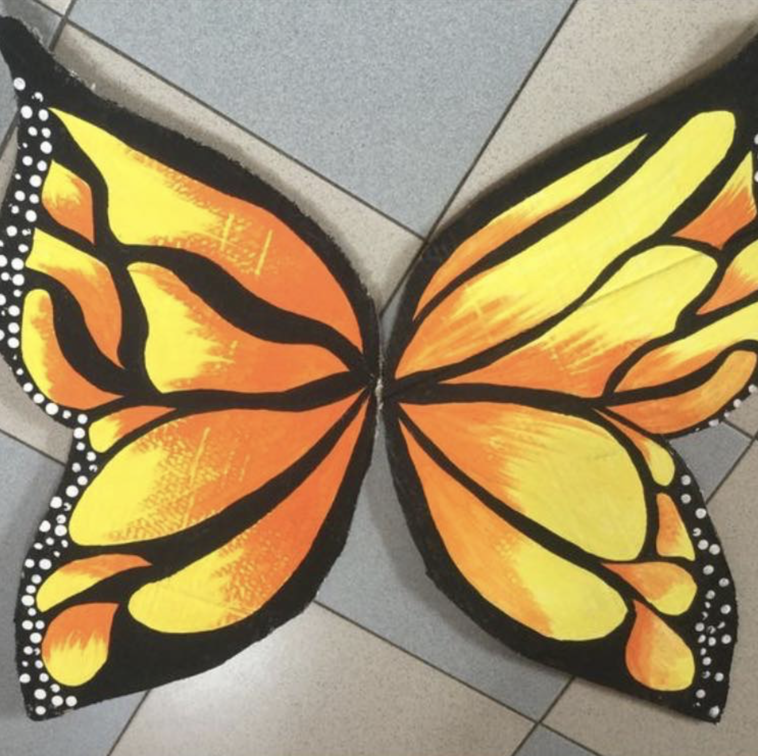MISSION PARTNER UPDATE - BUTTERFLY MINISTRY