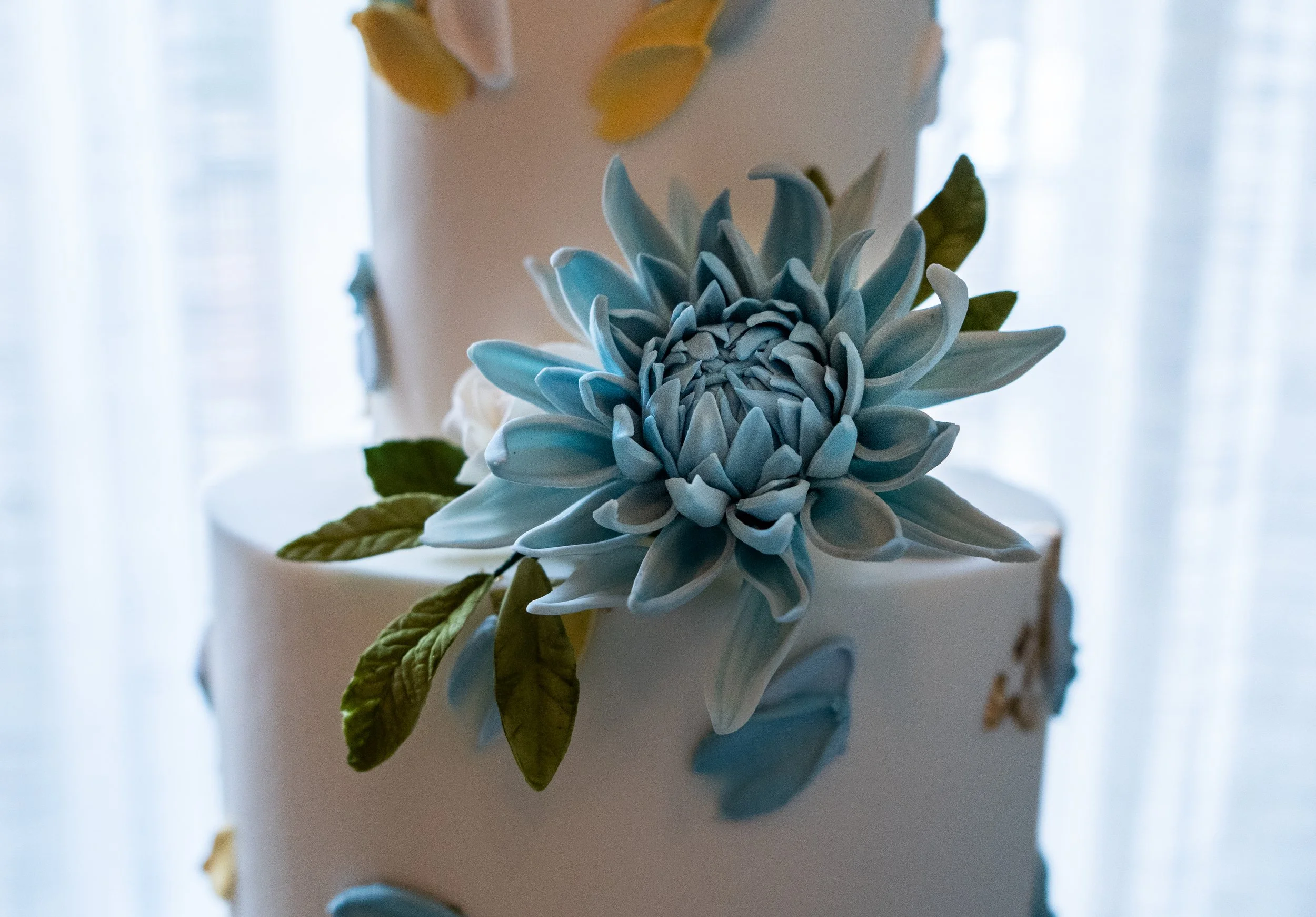 BLUE-14.jpg
