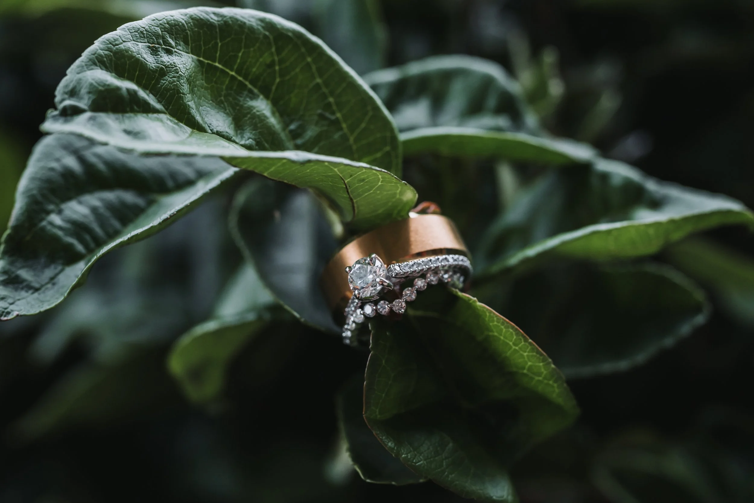 A&H WEDDING-28.jpg
