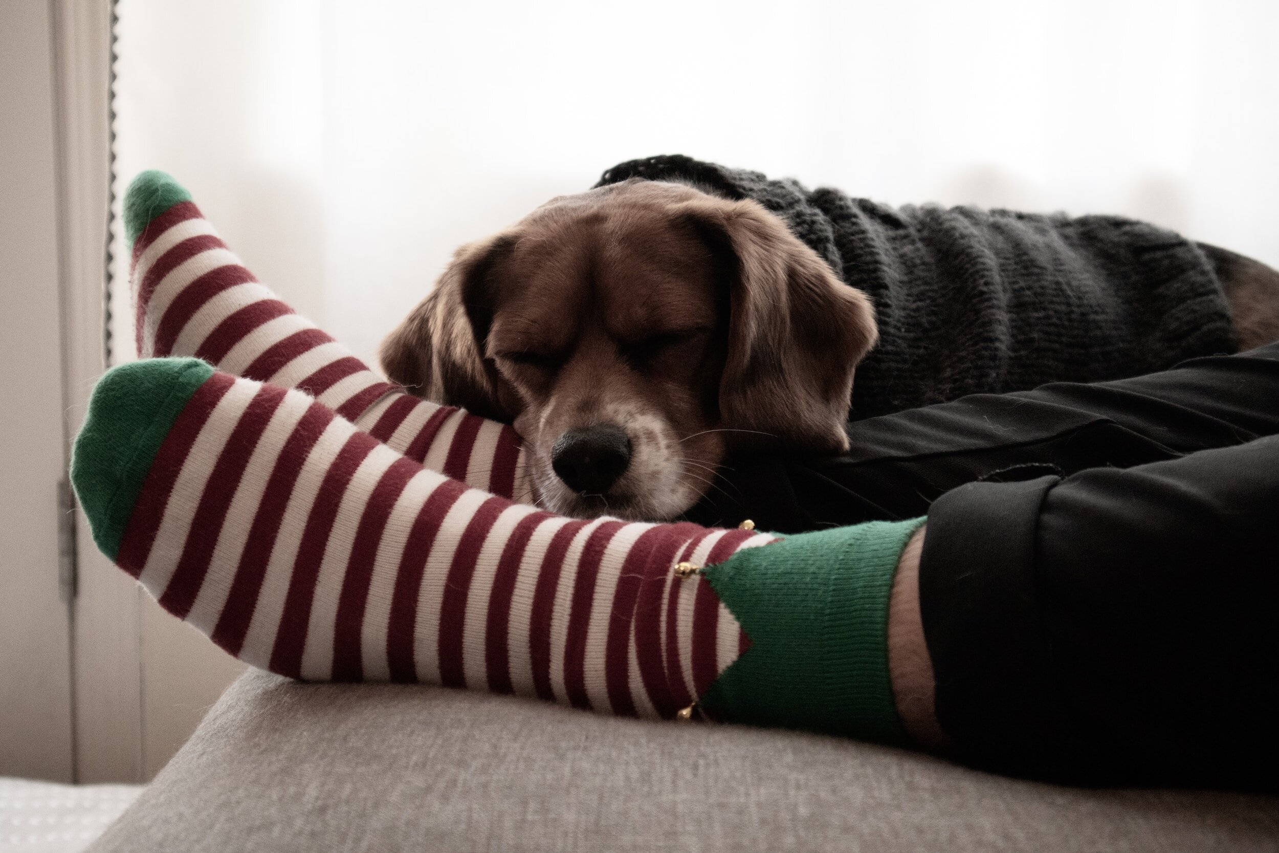 Embracing Therapy for Post-Holiday Overwhelm