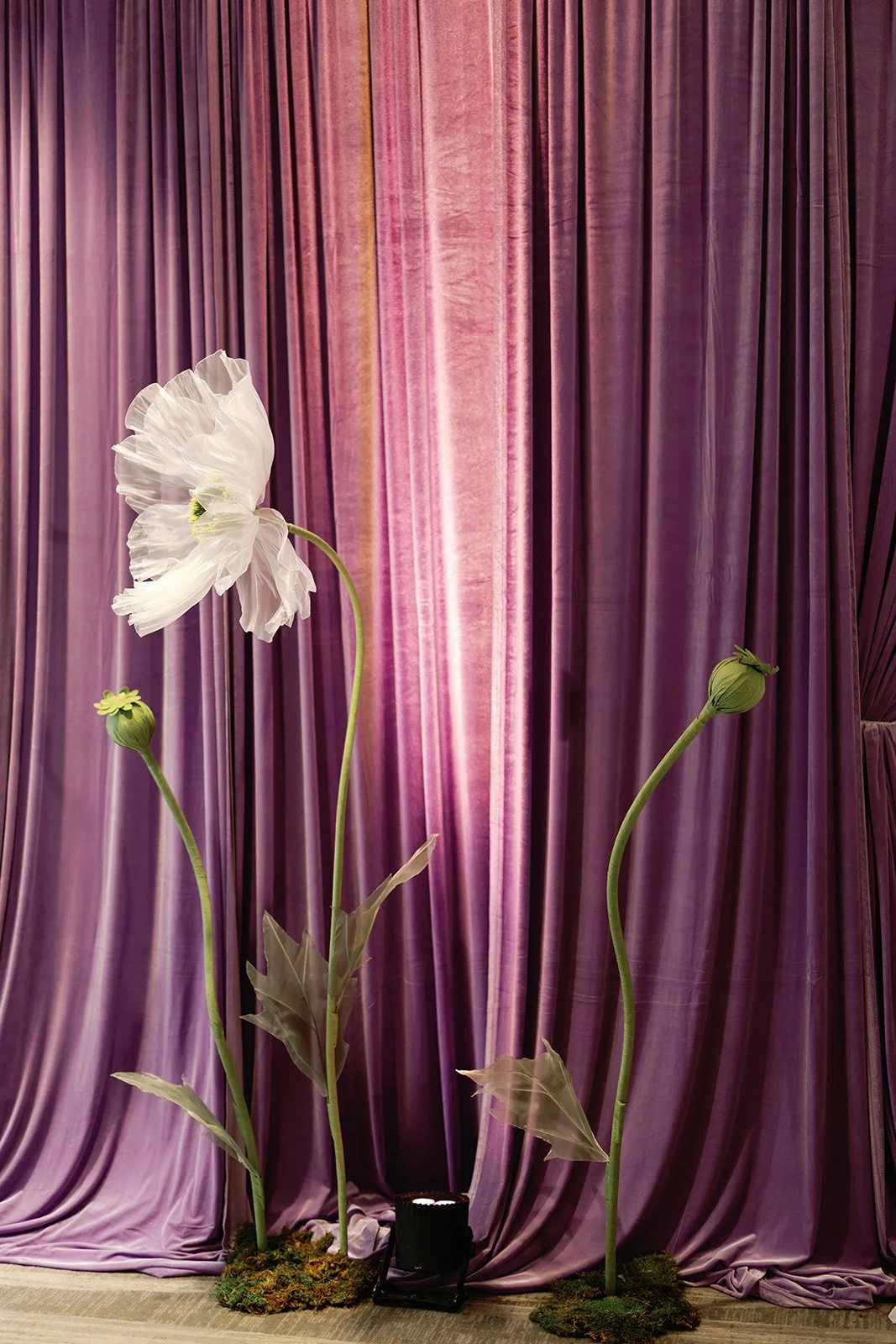  Tall white poppy floral installation against a lavender velvet curtain backdrop 