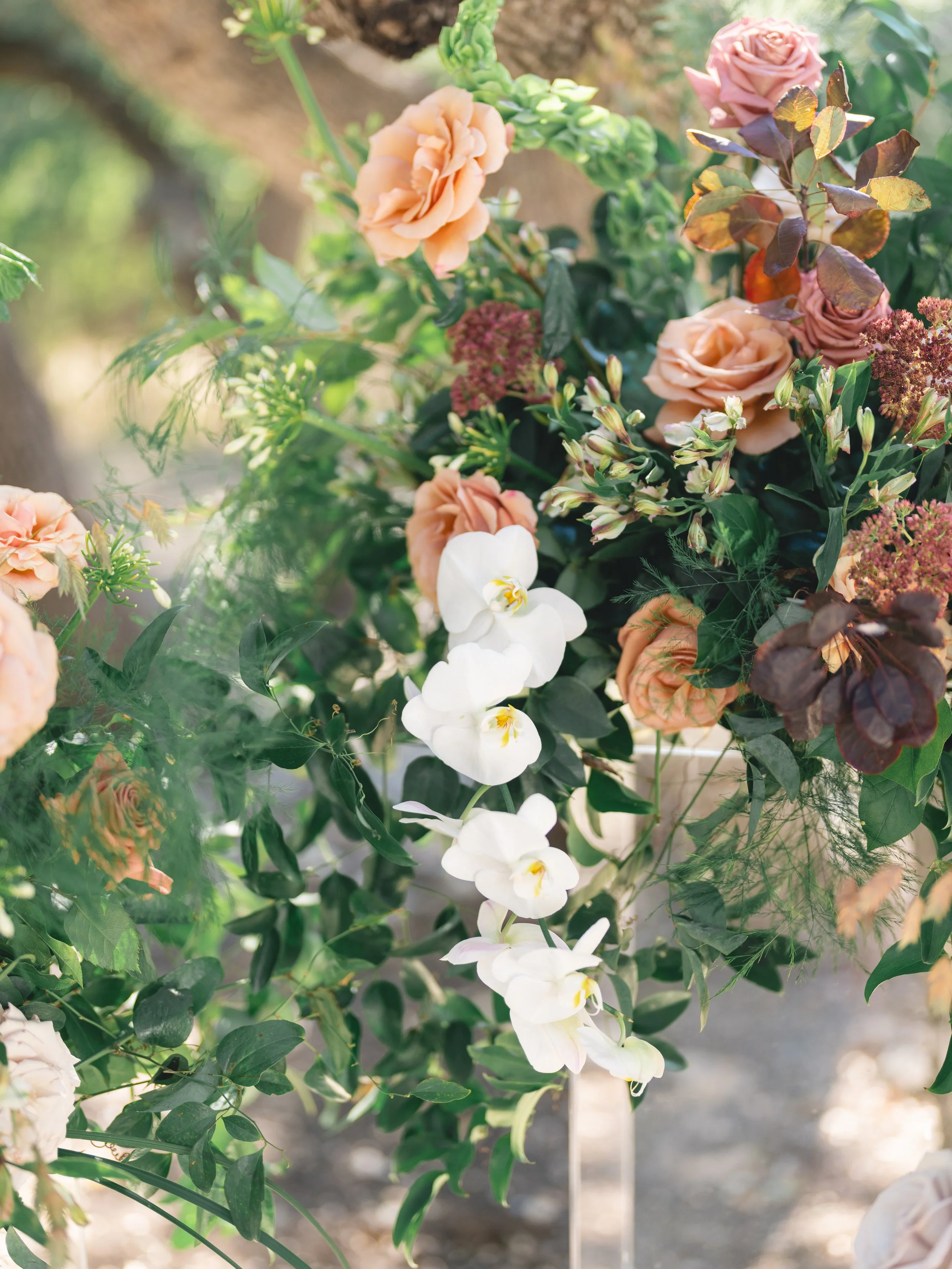  Cascading white orchids among peach roses, sedum and burgundy smoke bush in Remi + Gold ceremony florals at The Addison Grove 