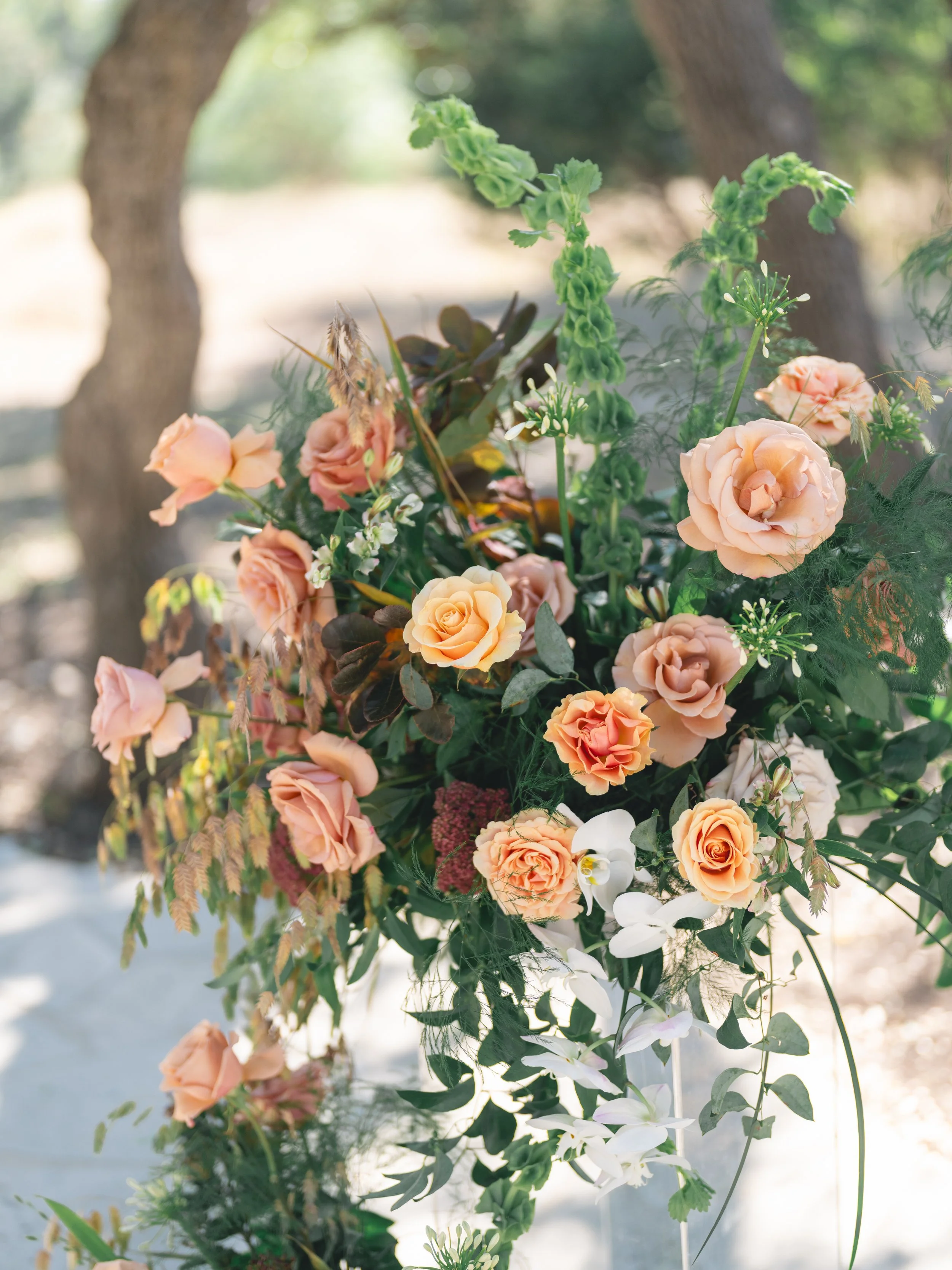 Peach and apricot garden roses with white orchids and smoke bush foliage in a ceremony arrangement at an Addison Grove wedding 