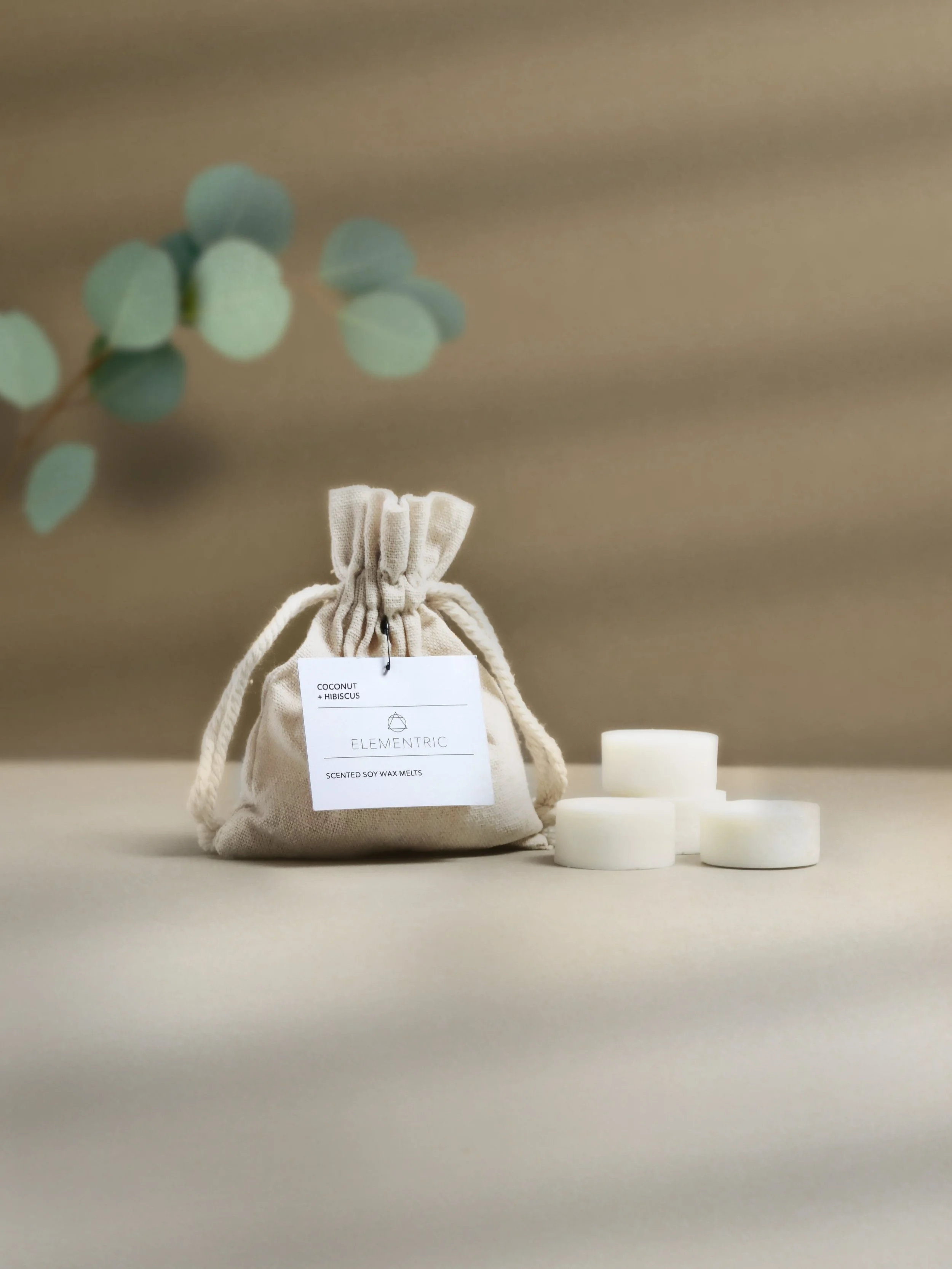 Coconut+%2B+Hibiscus+Wax+Melts.jpg