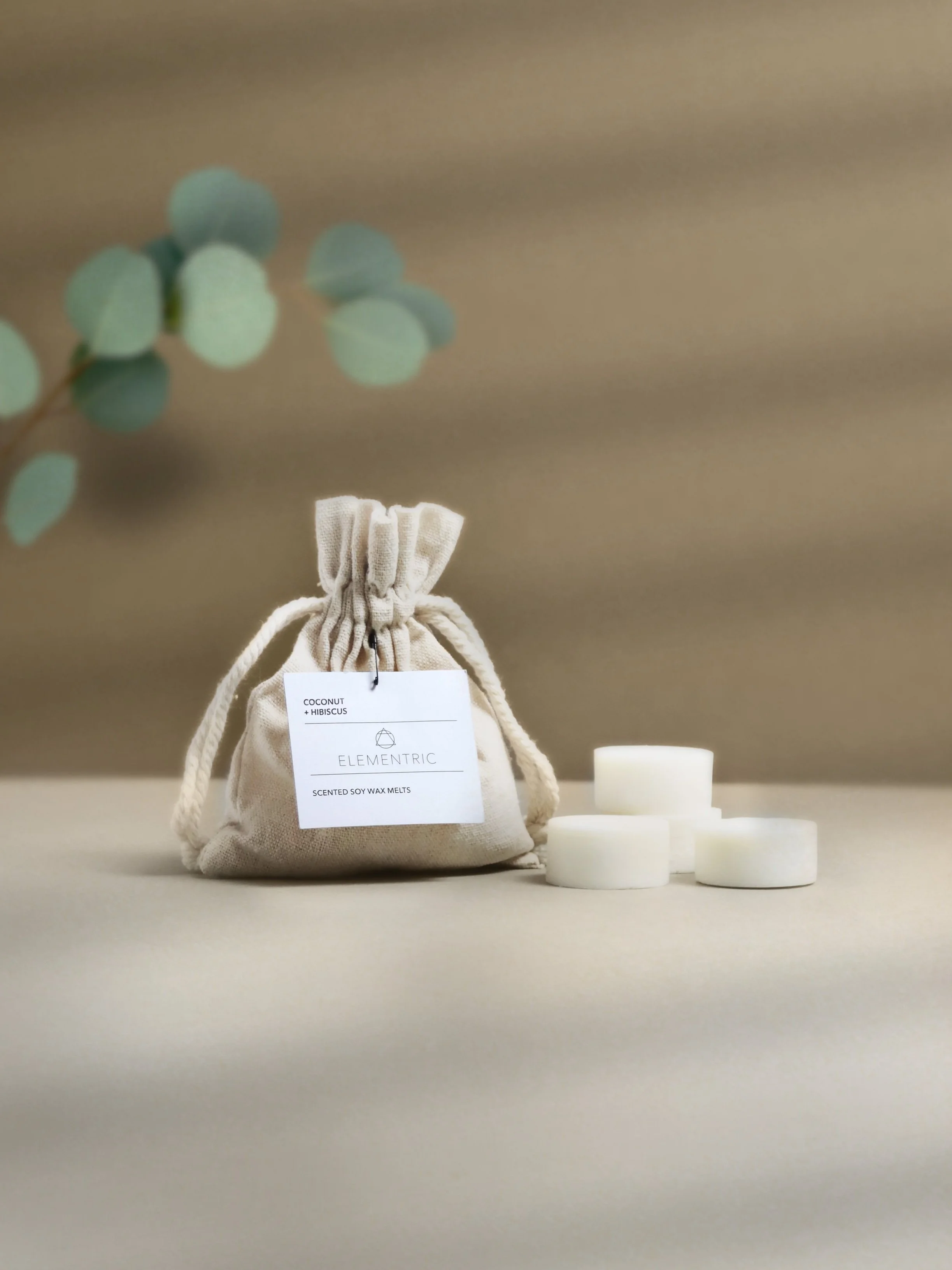 Coconut+%2B+Hibiscus+Wax+Melts.jpg