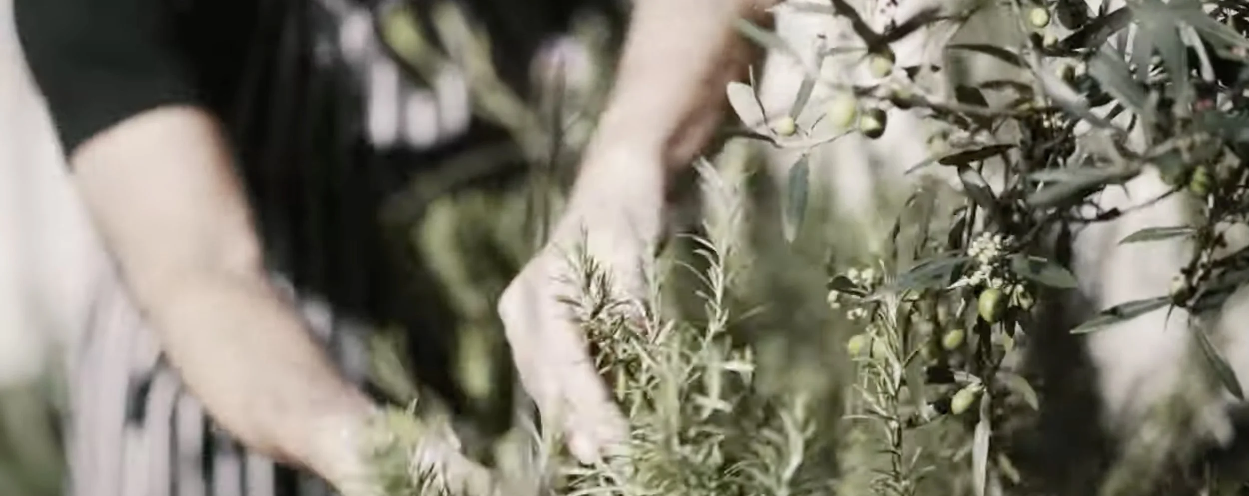 Screenshot 2022-02-09 at 17.57.21.jpeg