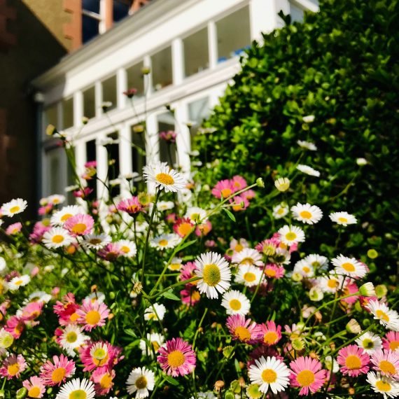 Secret Gardens