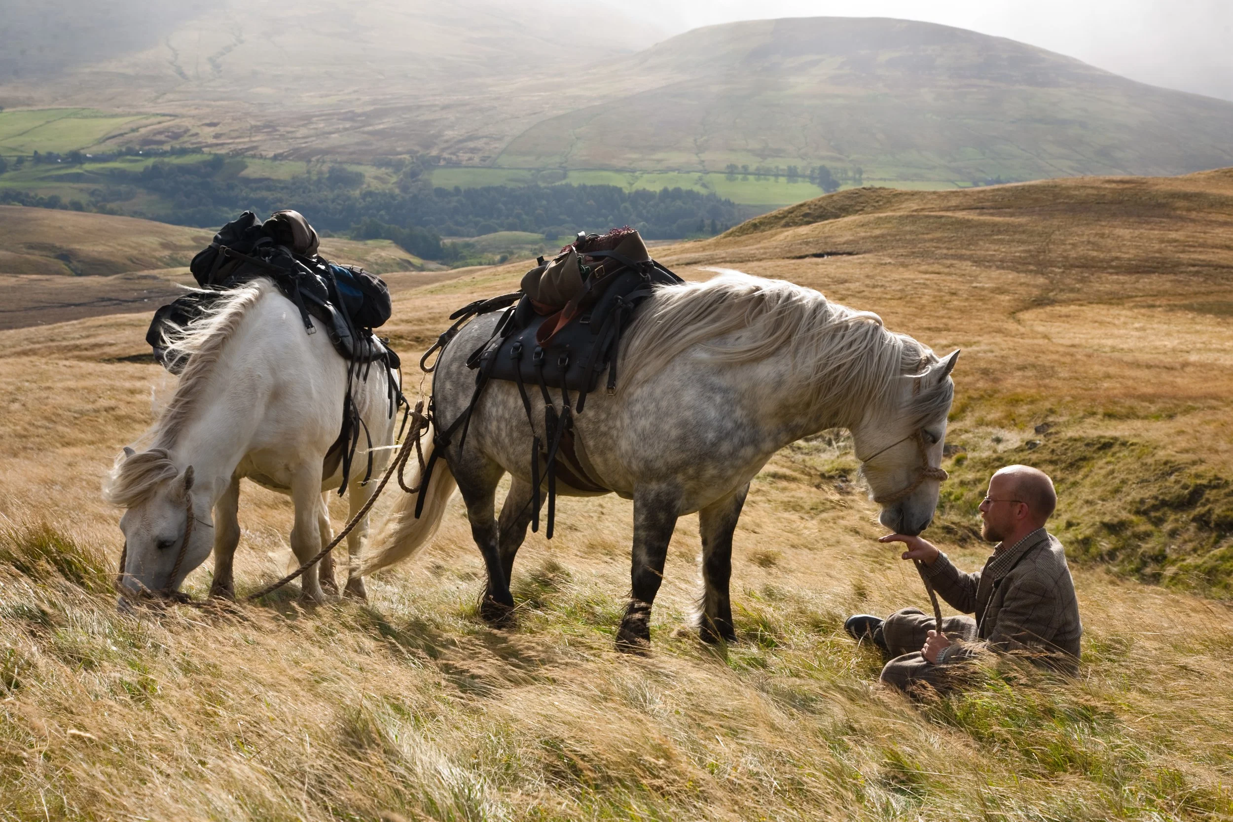 Highland Tweed