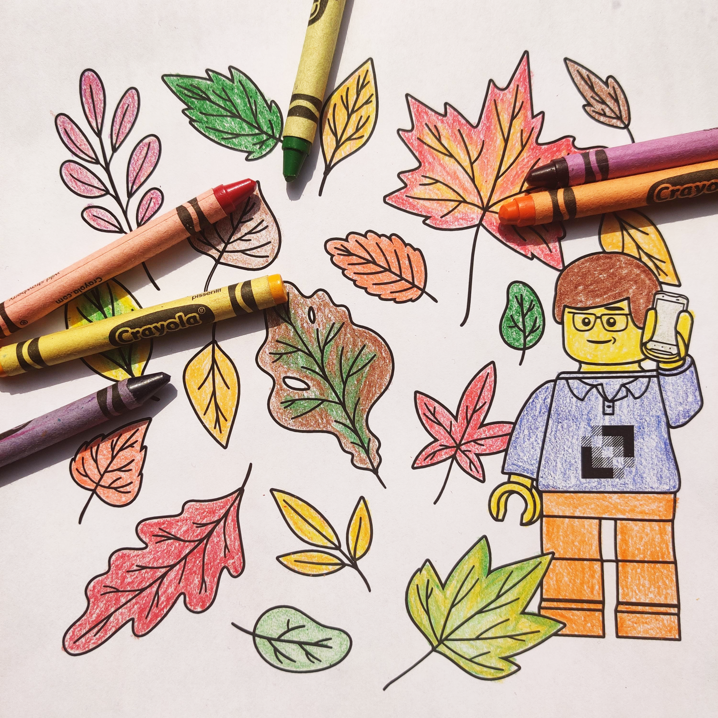 Fall leaves coloring pages with crayons
