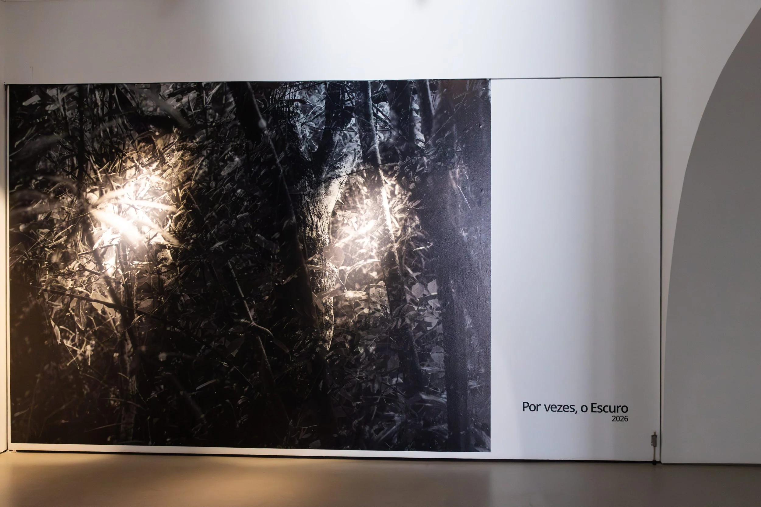 Emersa™ Entrevista Vasco Célio 02.04 ©Mafalda Castro 2026-25.jpg