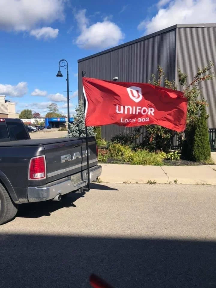 Care Not Profits - 2019