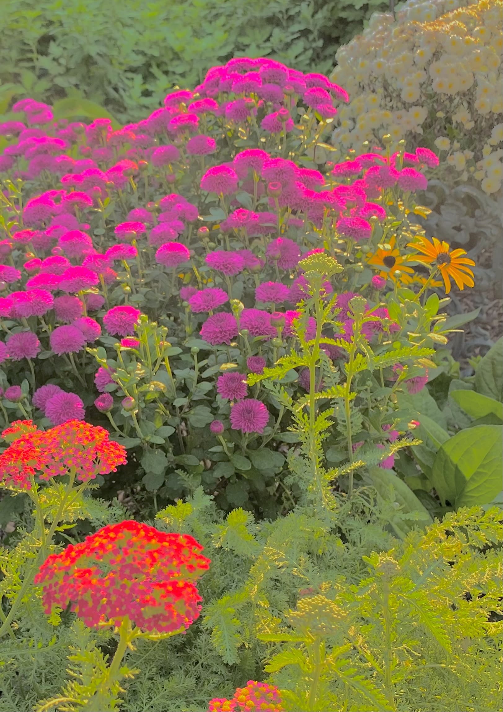 From Front Garden
