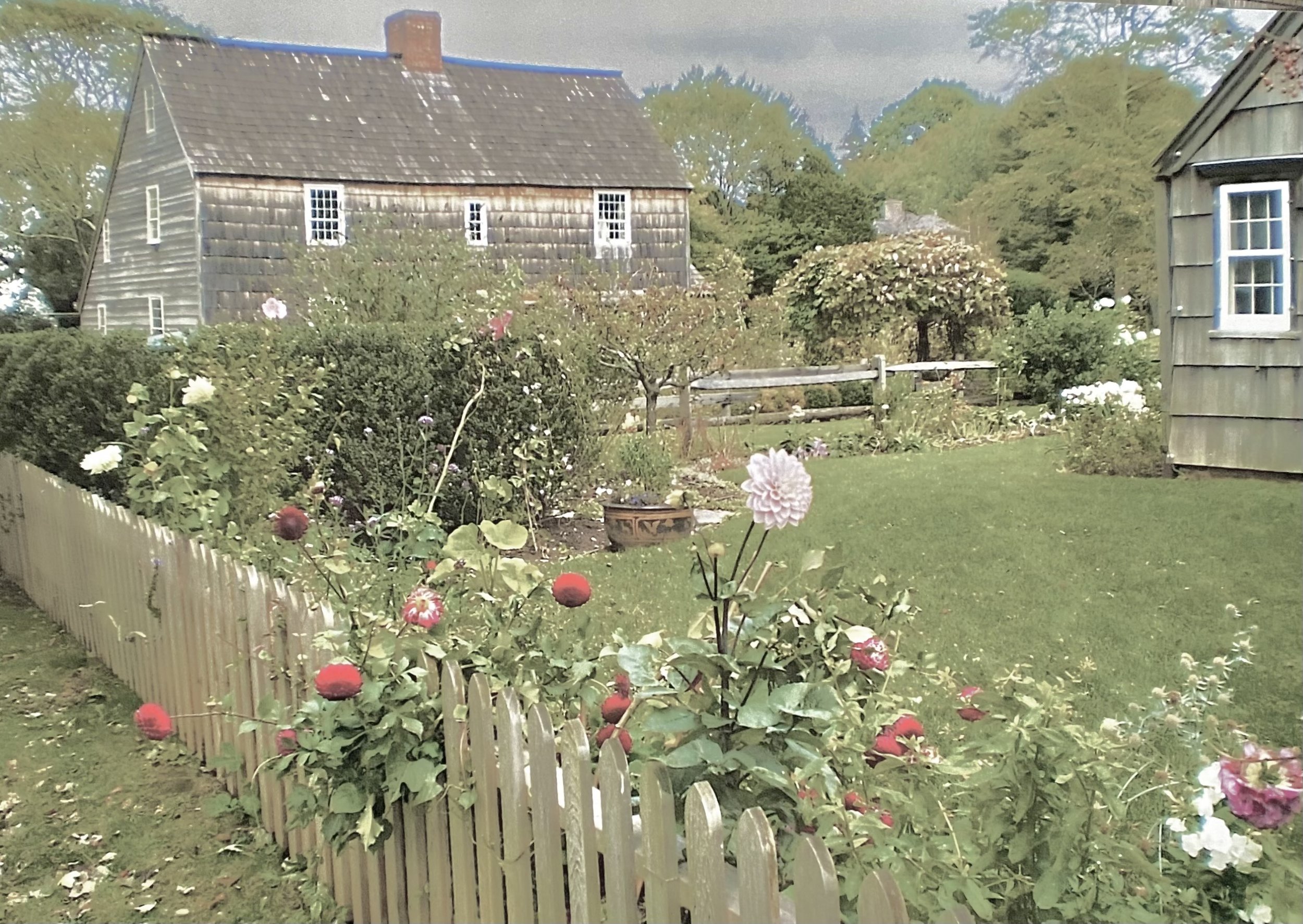 Picket Fence Flowers at Long Island