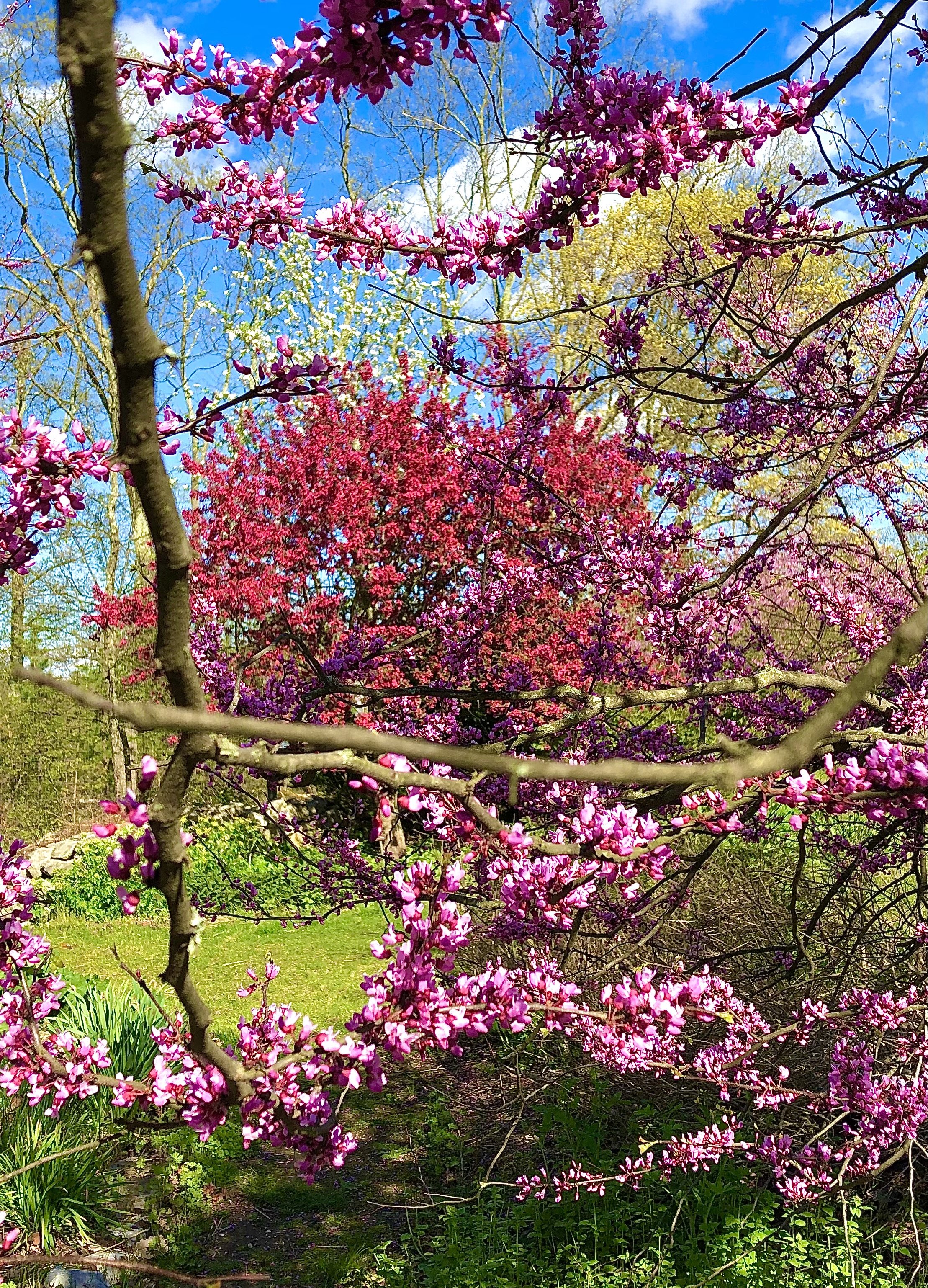 Spring Colors