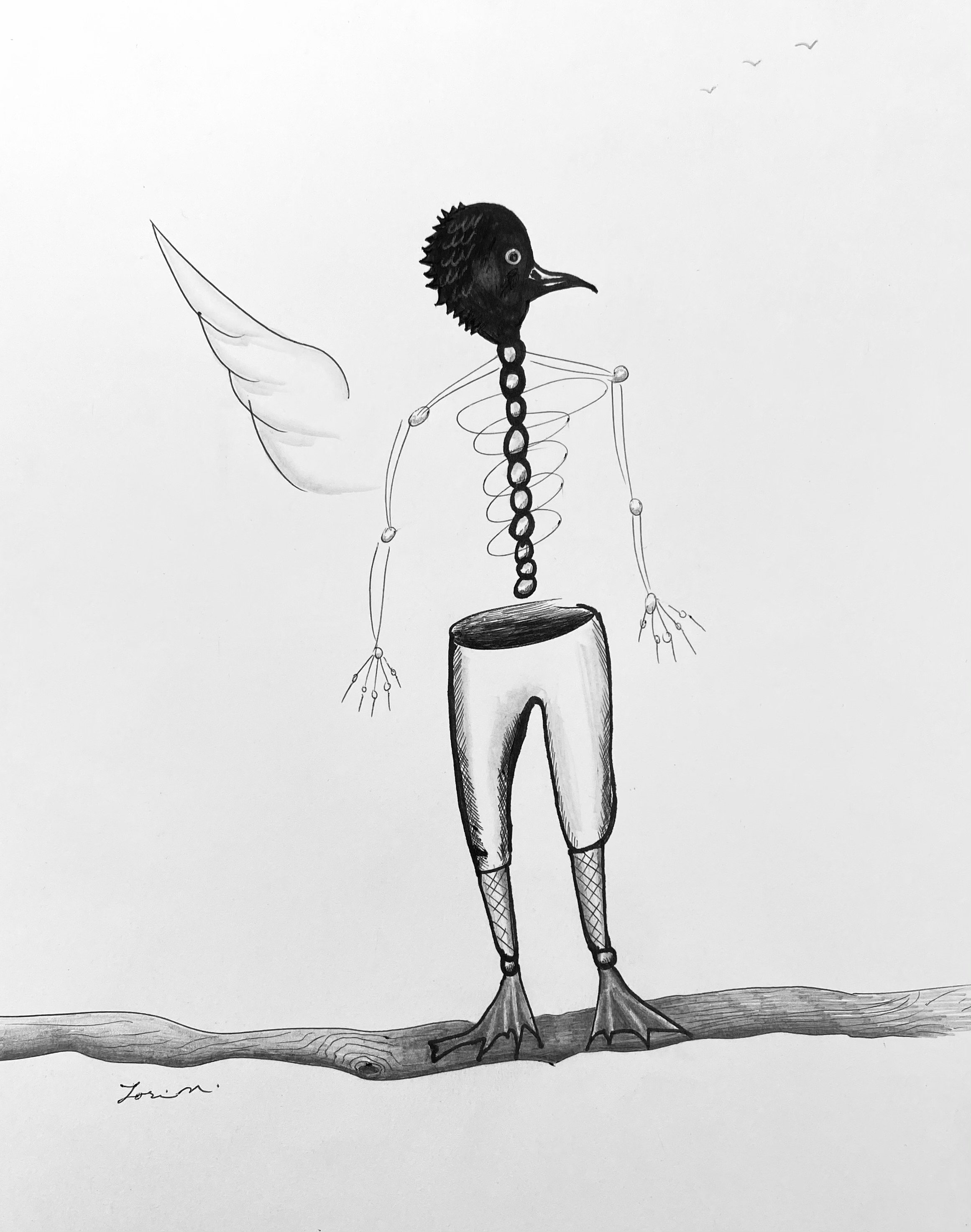 On a Limb