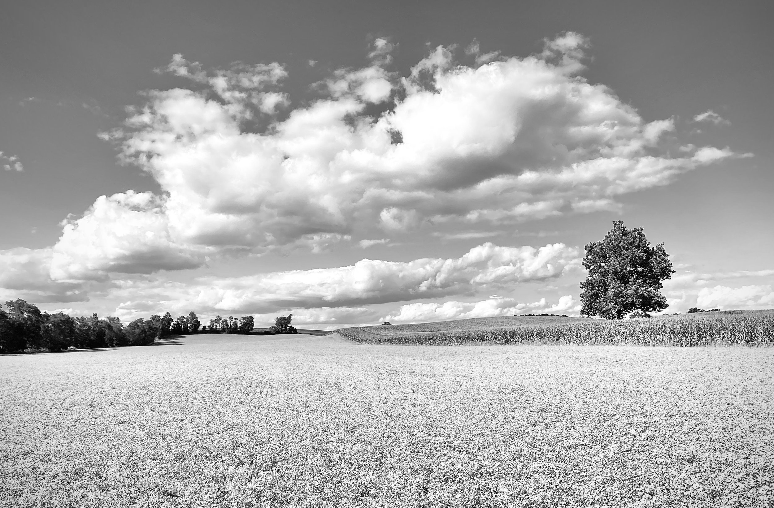 A Landscape