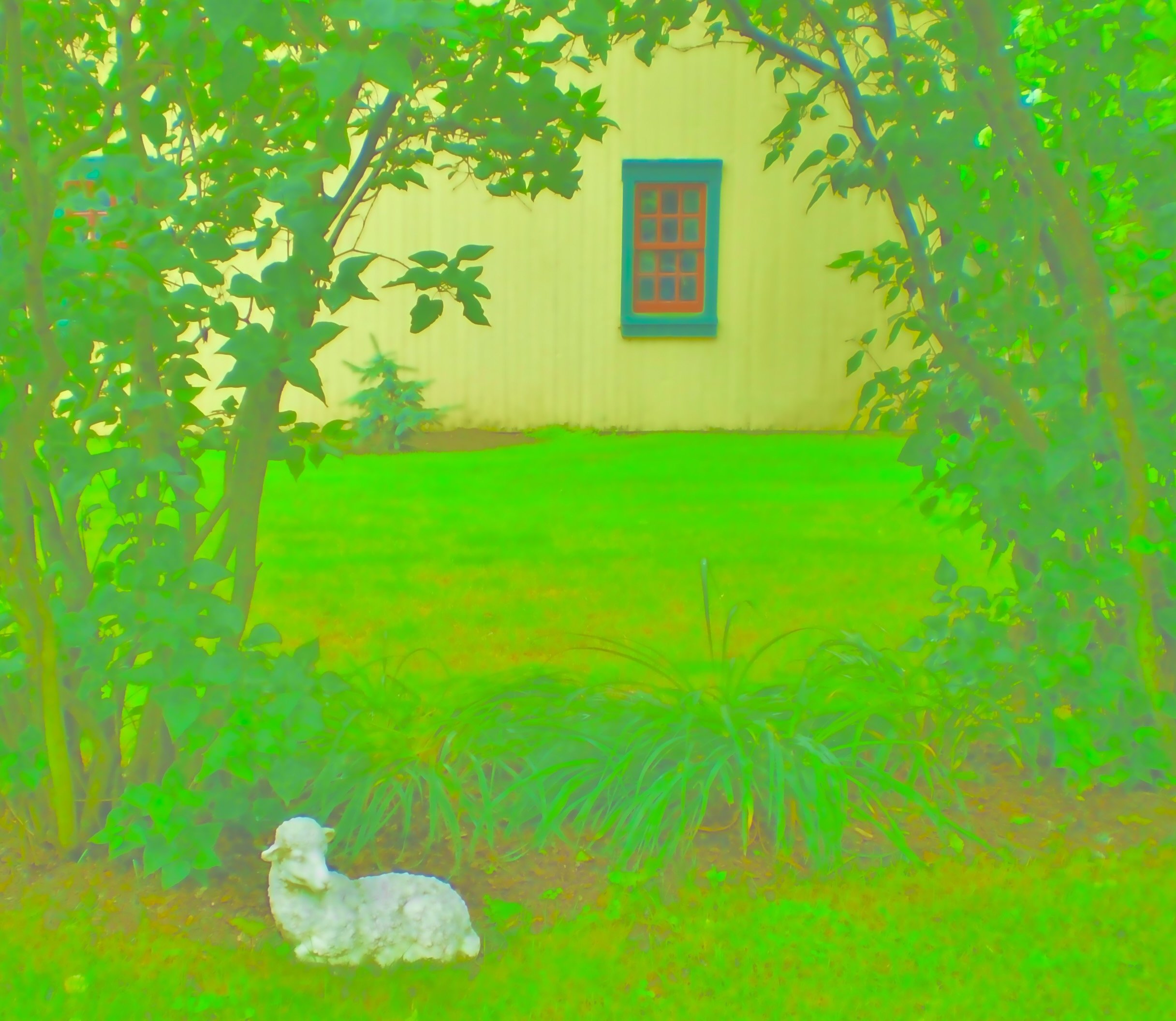 Lamb