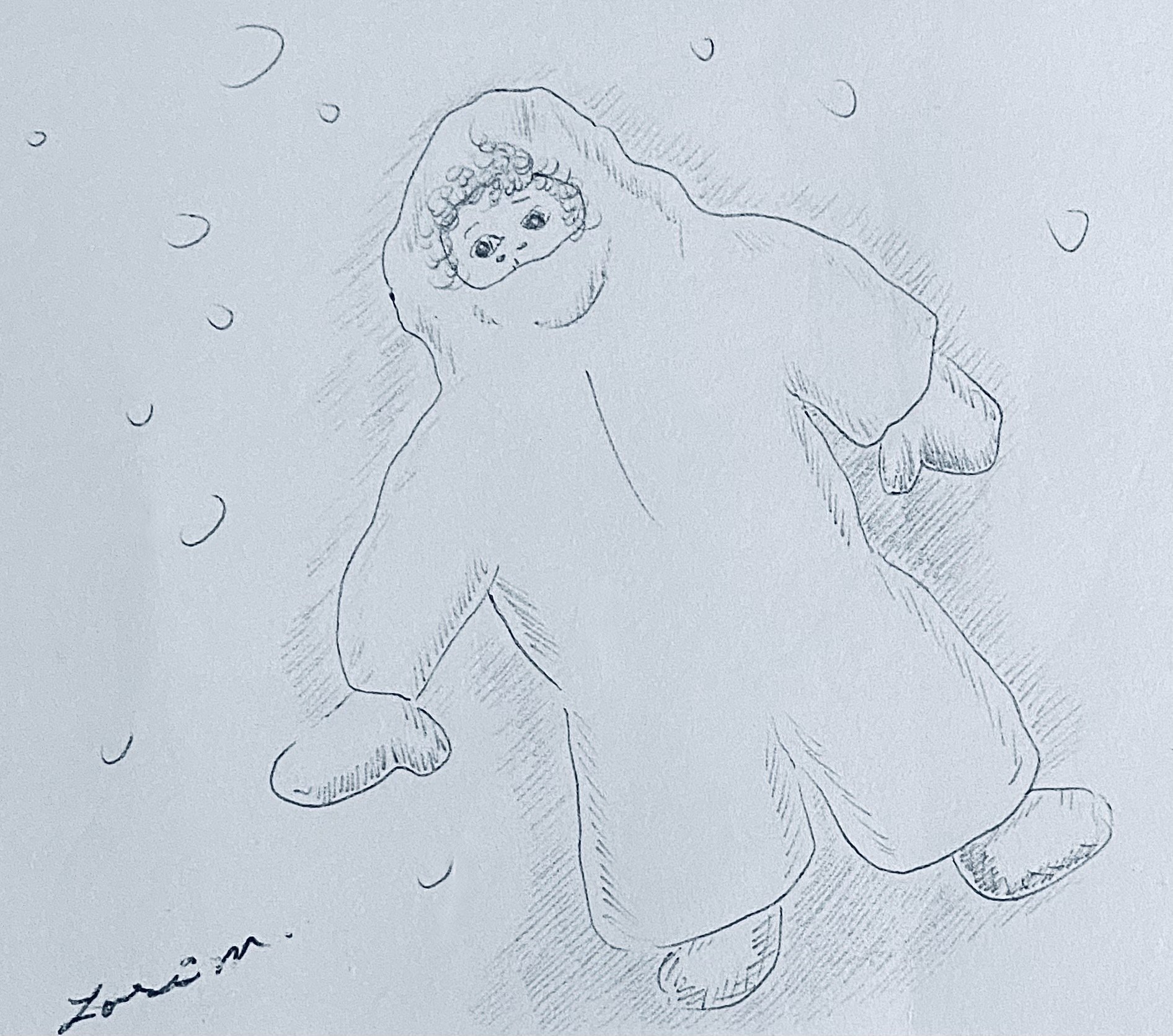 Snow Fall