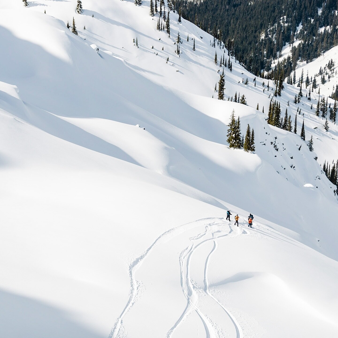 Seeking ski friends: there&rsquo;s still a lot of winter left to explore. If you&rsquo;re available in Revelstoke on any dates in February to ski and take photos with me please send me a DM!