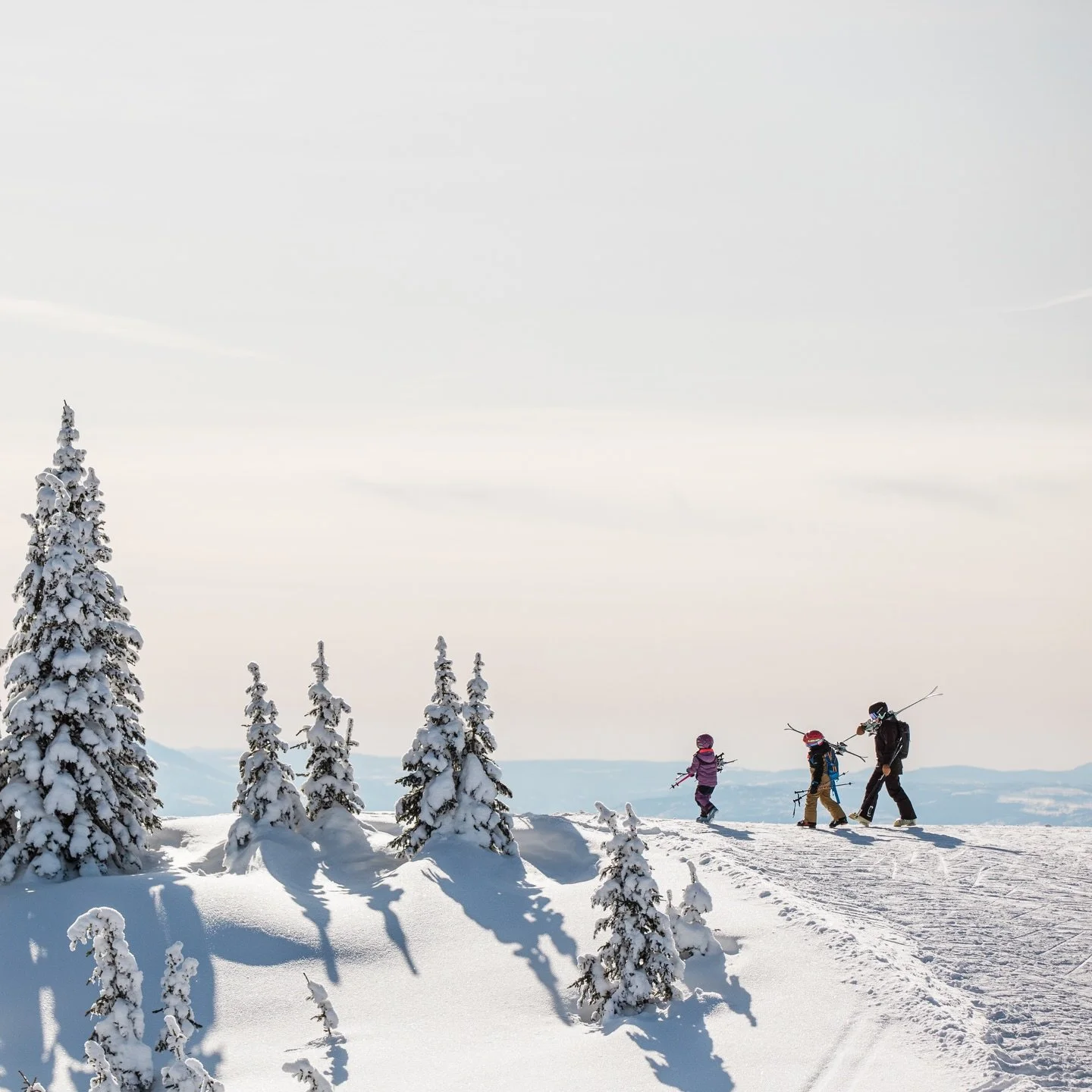 Shot for @silverstarmtnresort a couple seasons ago and the family were my awesome models. They&rsquo;re forever my favourite adventure buddies ❤️
.
.
.
.
.
#silverstar #silverstarmountain #vernon #explorevernon #thompsonokanagan