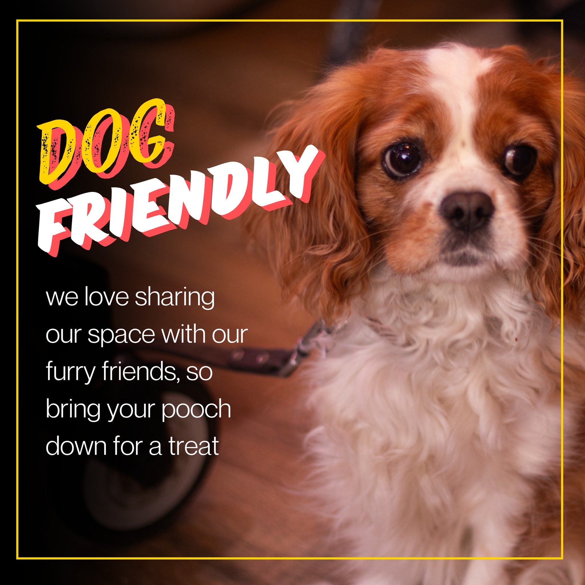 We welcome you and your furry friend to our cosy dog-friendly cafe where you can enjoy a delicious treat together 🐾🍰 Relax with your pup and indulge in some yummy snacks! 

#DogFriendlyCafe #PamperYourPup #bristol #coffeelover #perfecto