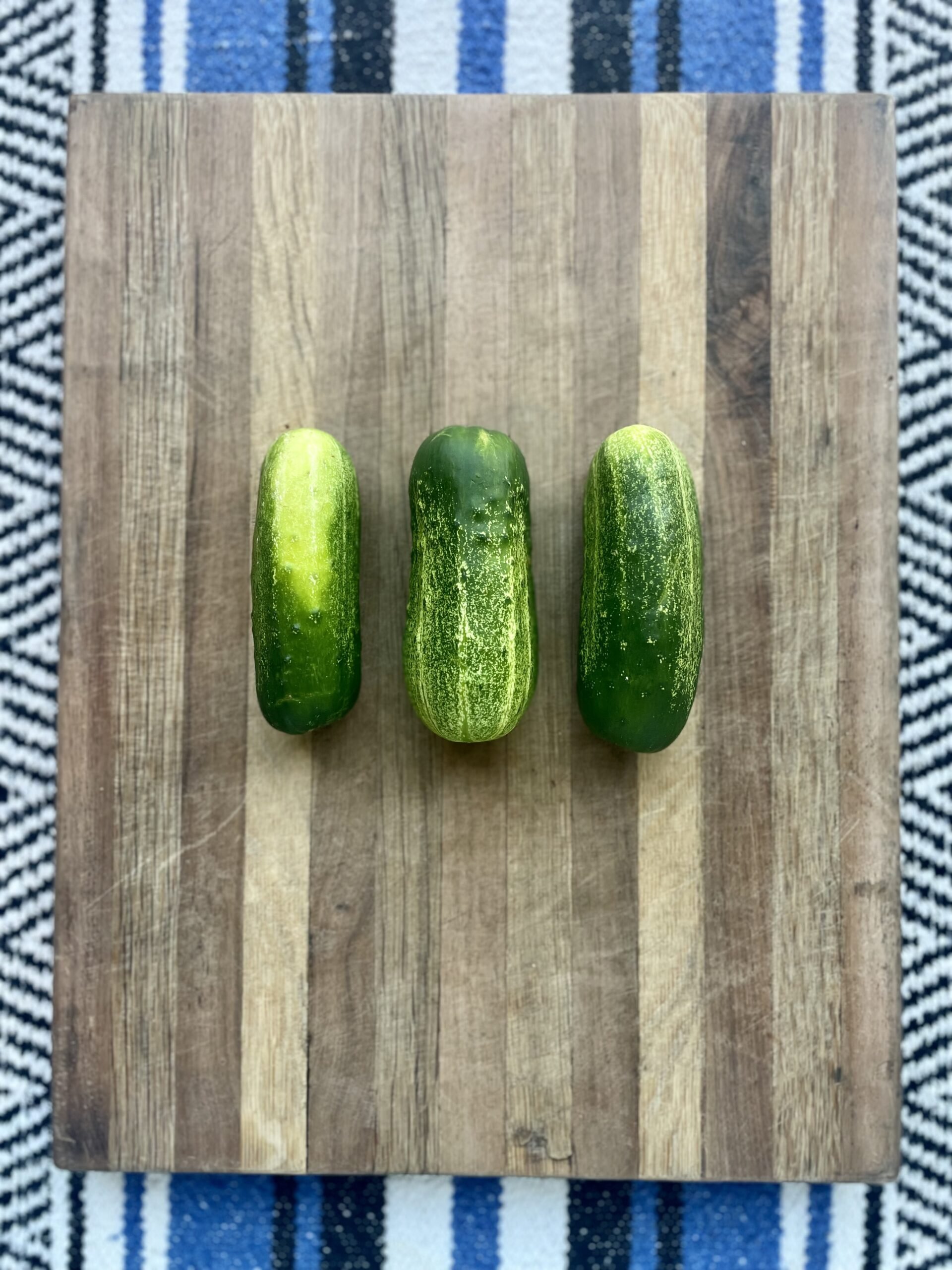 pickling-cucumbers-scaled.jpg