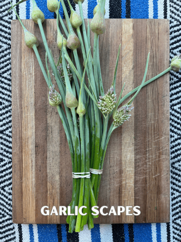 garlic-scapes-farm-share-spotlight-600x800.png (Copy)
