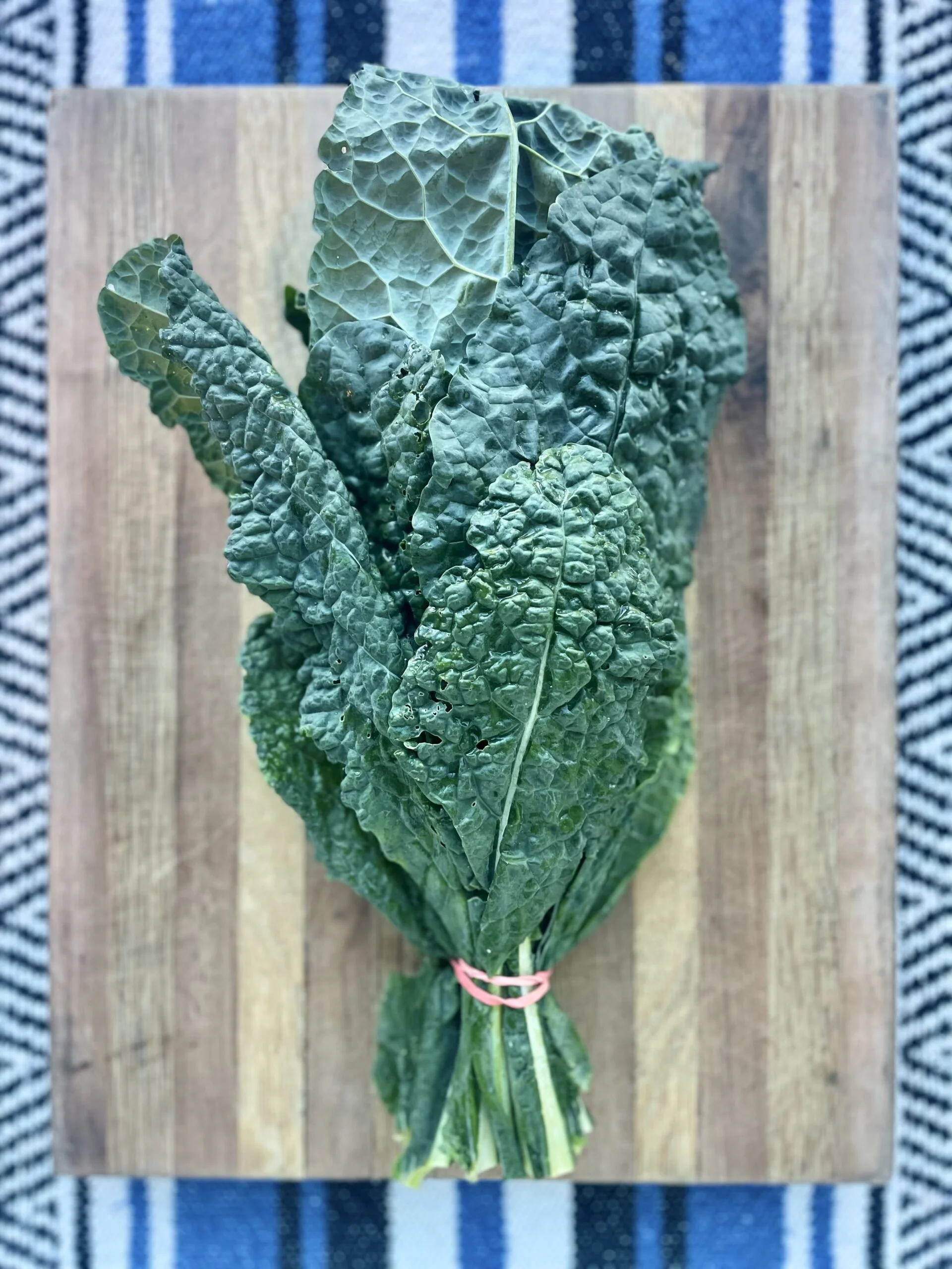 dino-kale-gundermann-scaled.jpg