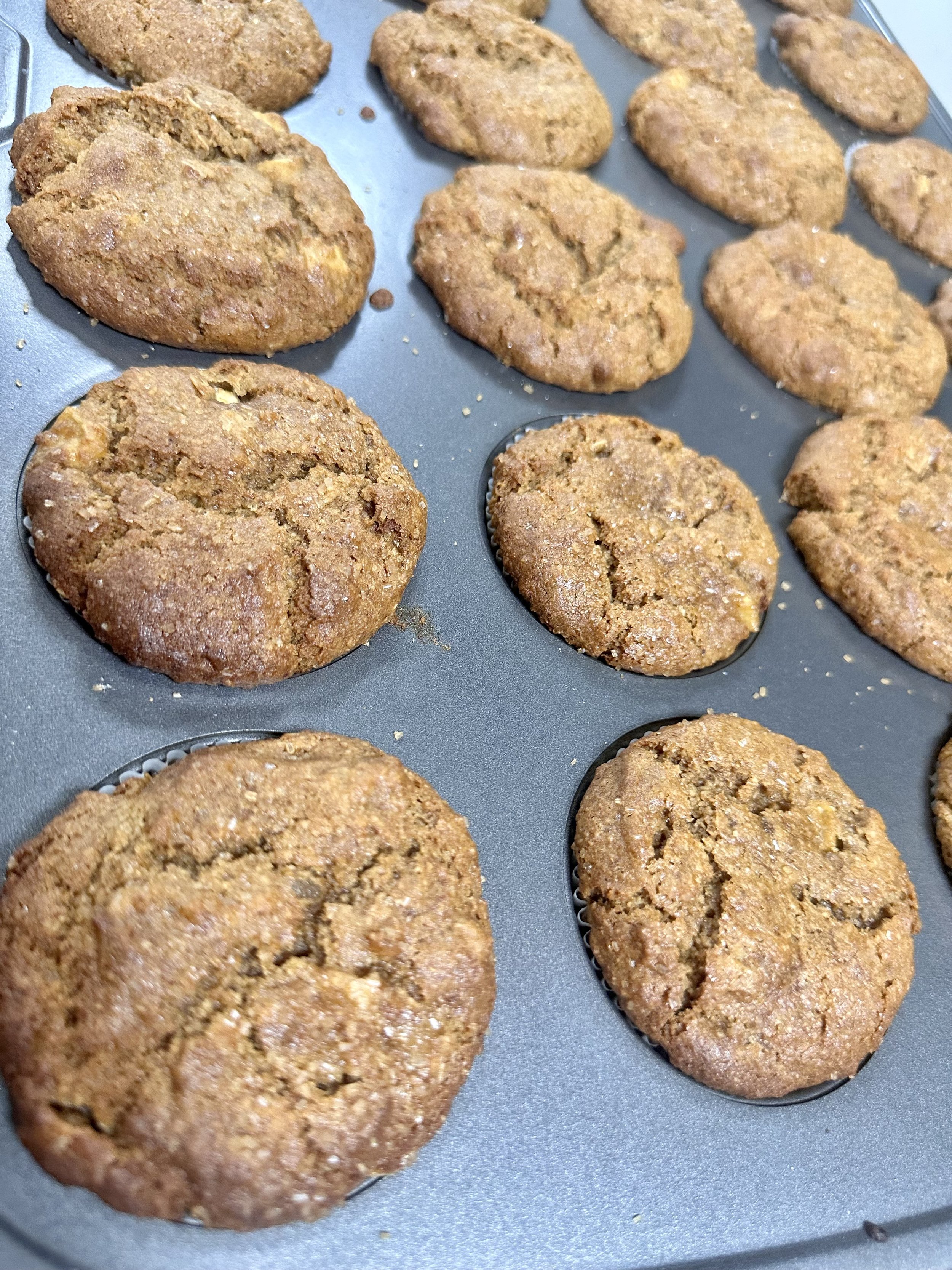 Ginger Spice Muffins with Dates and TX Apples 12