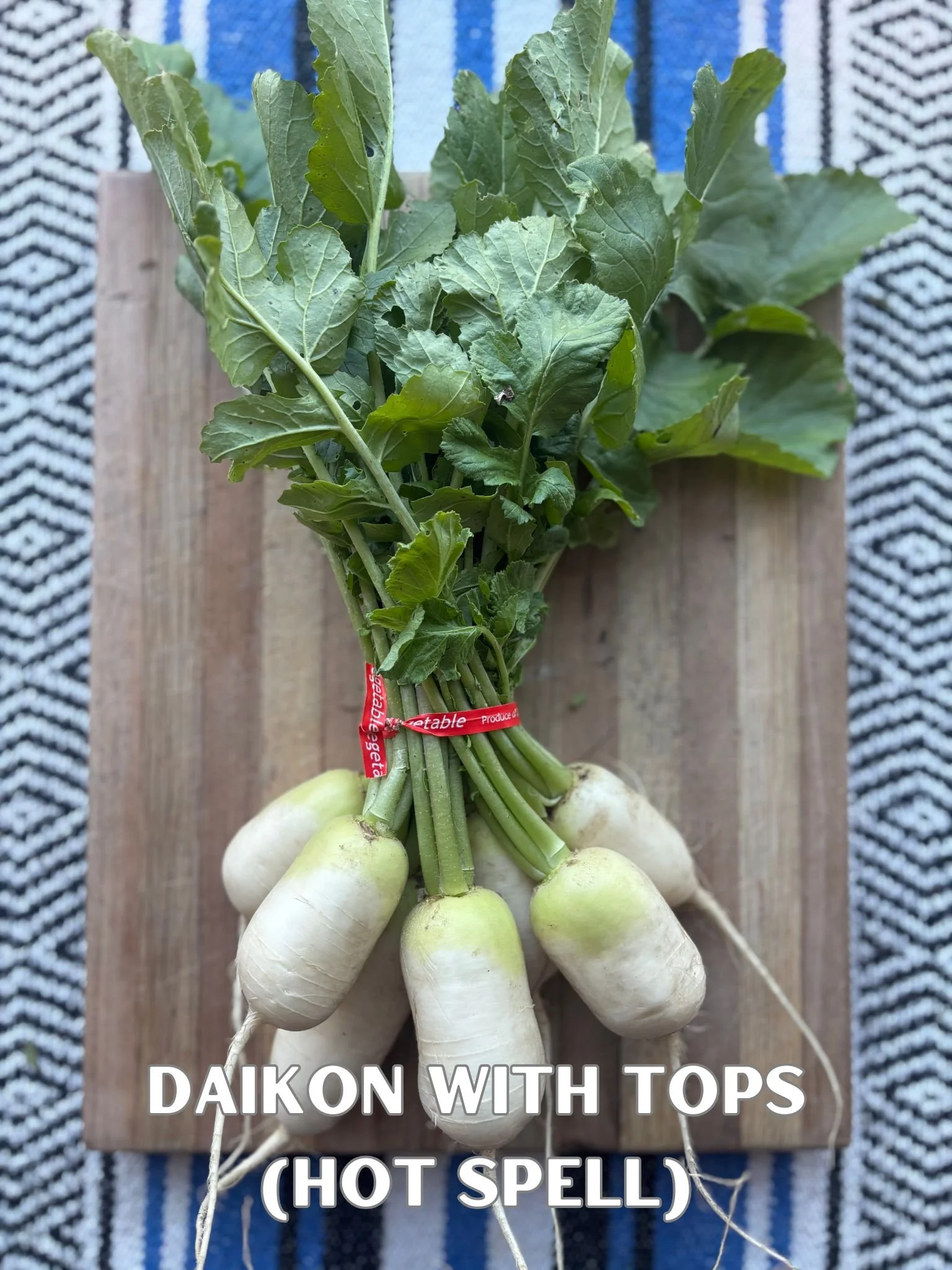 Daikon-with-Tops-Hot-Spell-spotlight.jpg