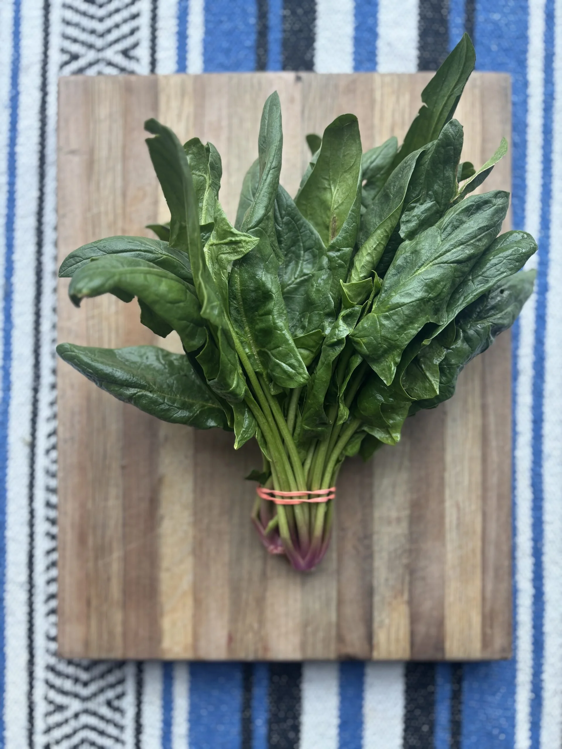 Spinach-Bunches-Gundermann-scaled.jpg