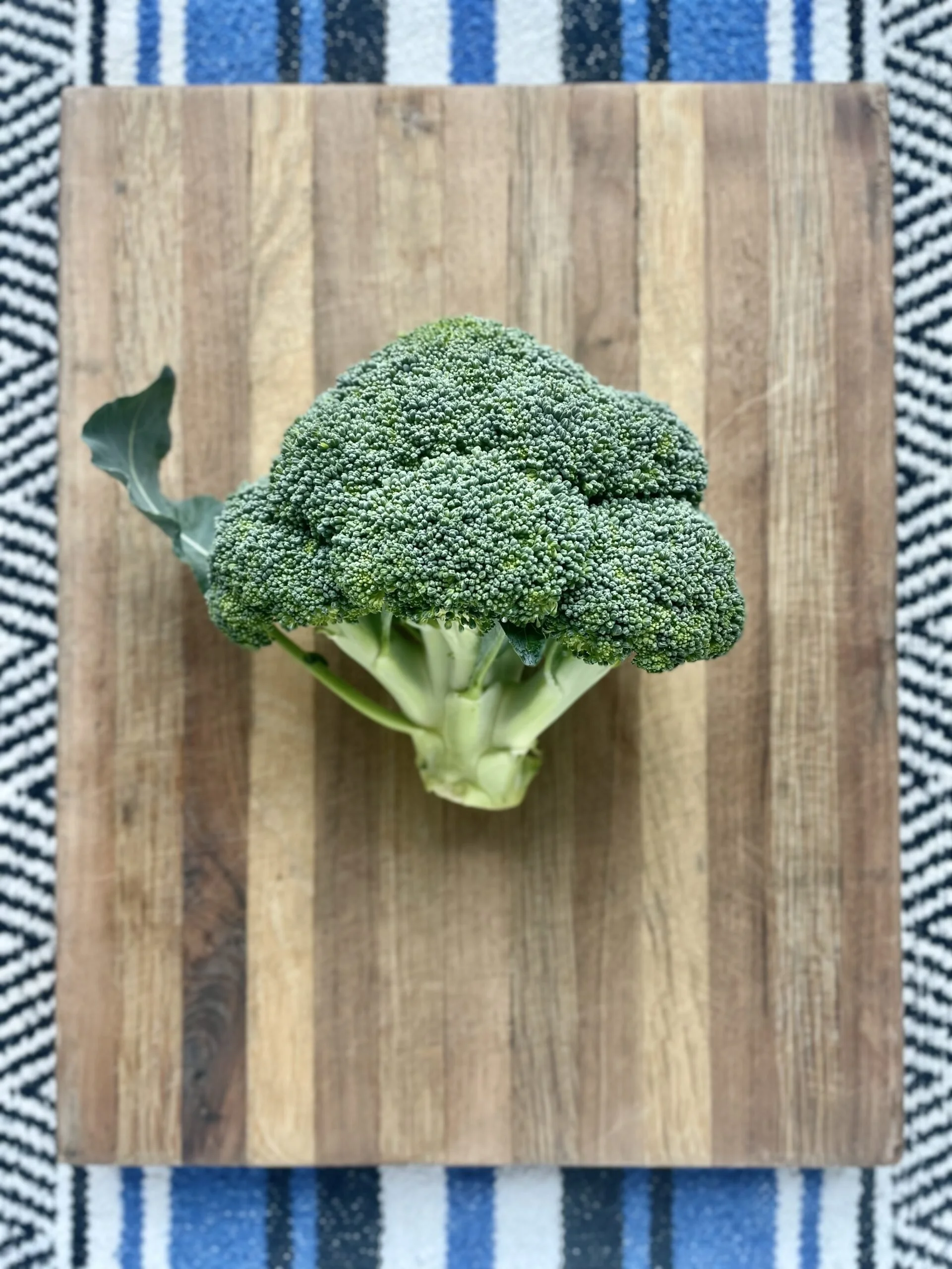 Broccoli-buena-tierra-scaled.jpg