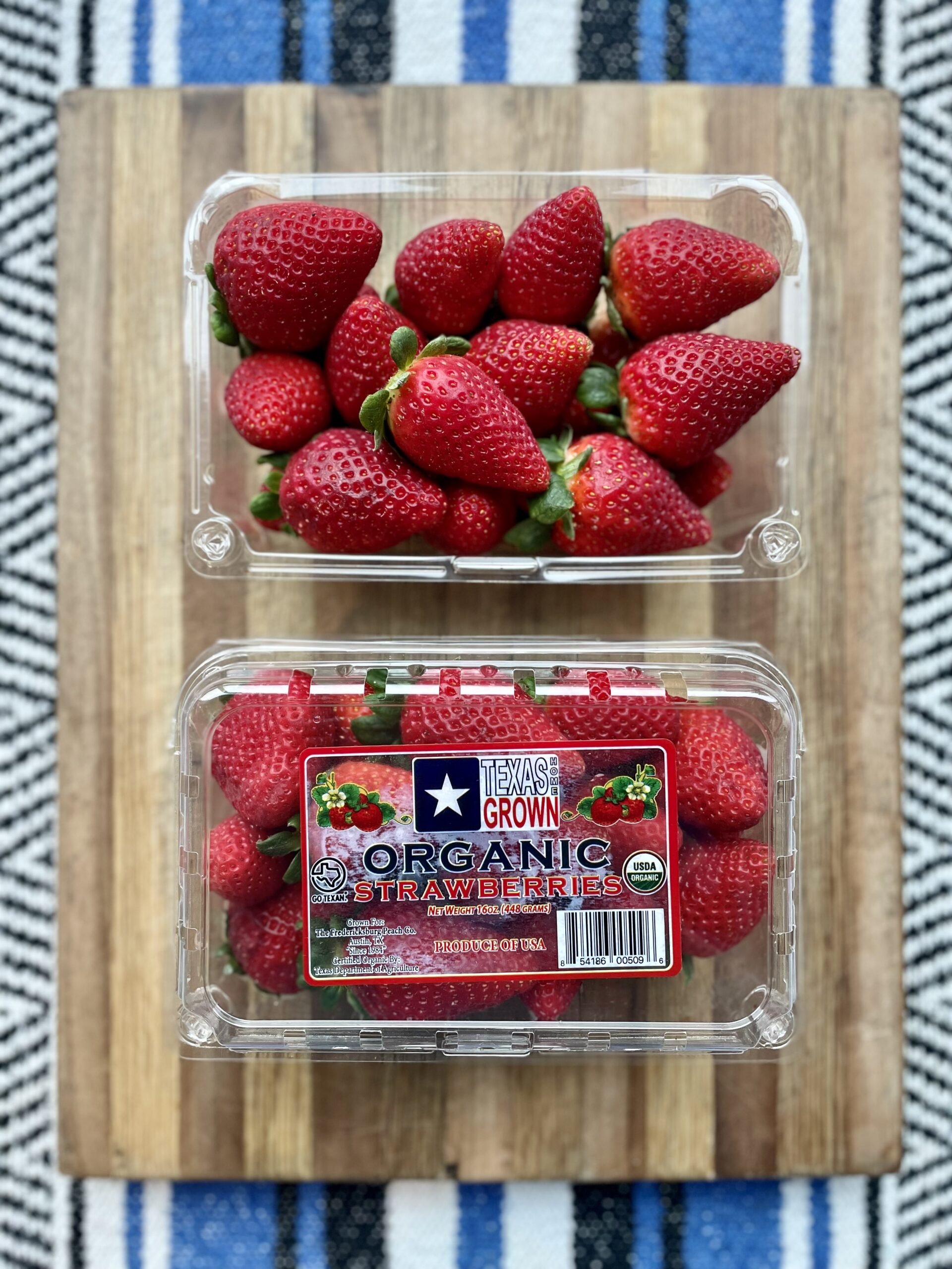 strawberries-farm-patch-scaled (1).jpg