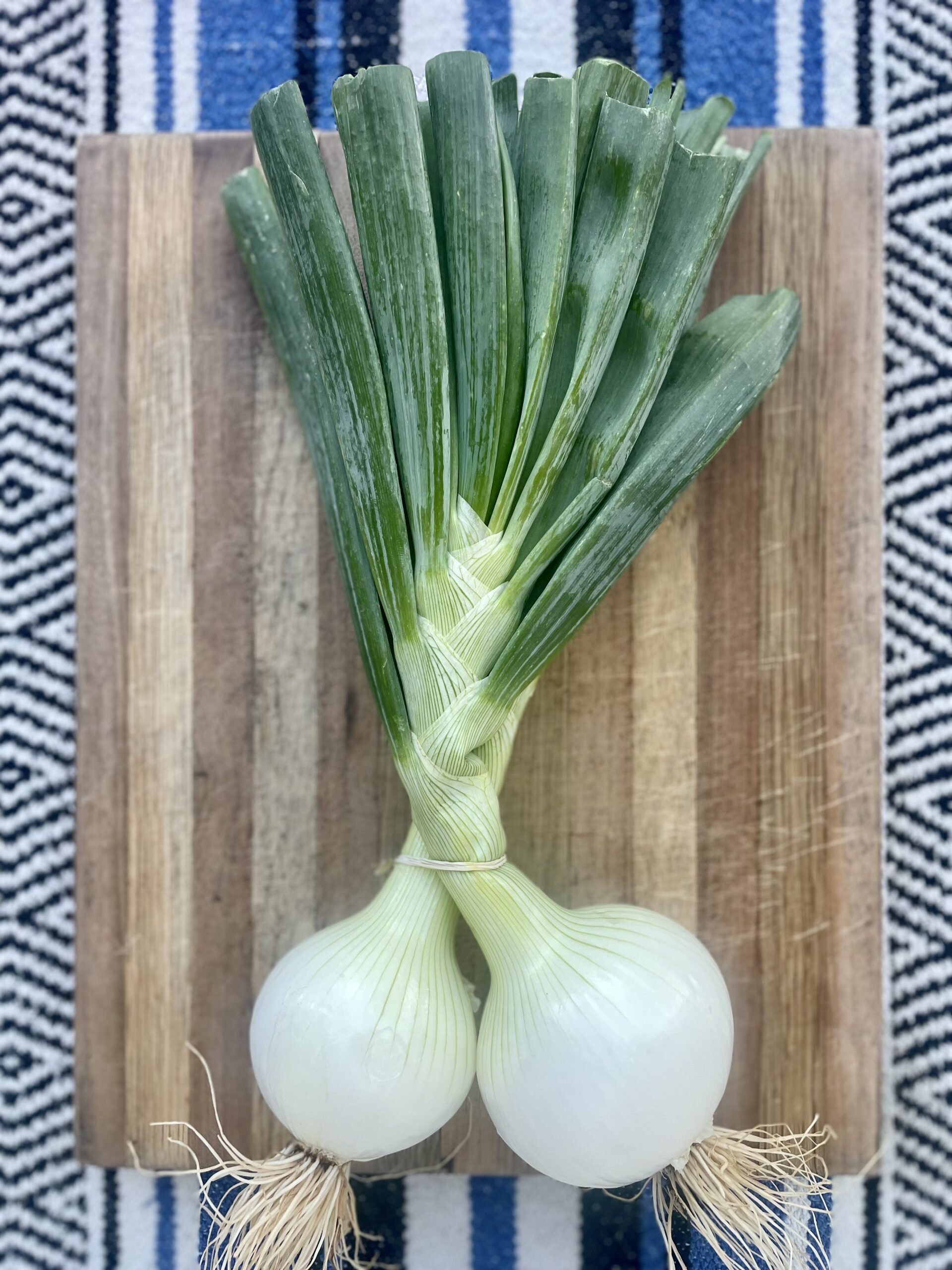 large-yellow-spring-onions-sanchez-scaled.jpg