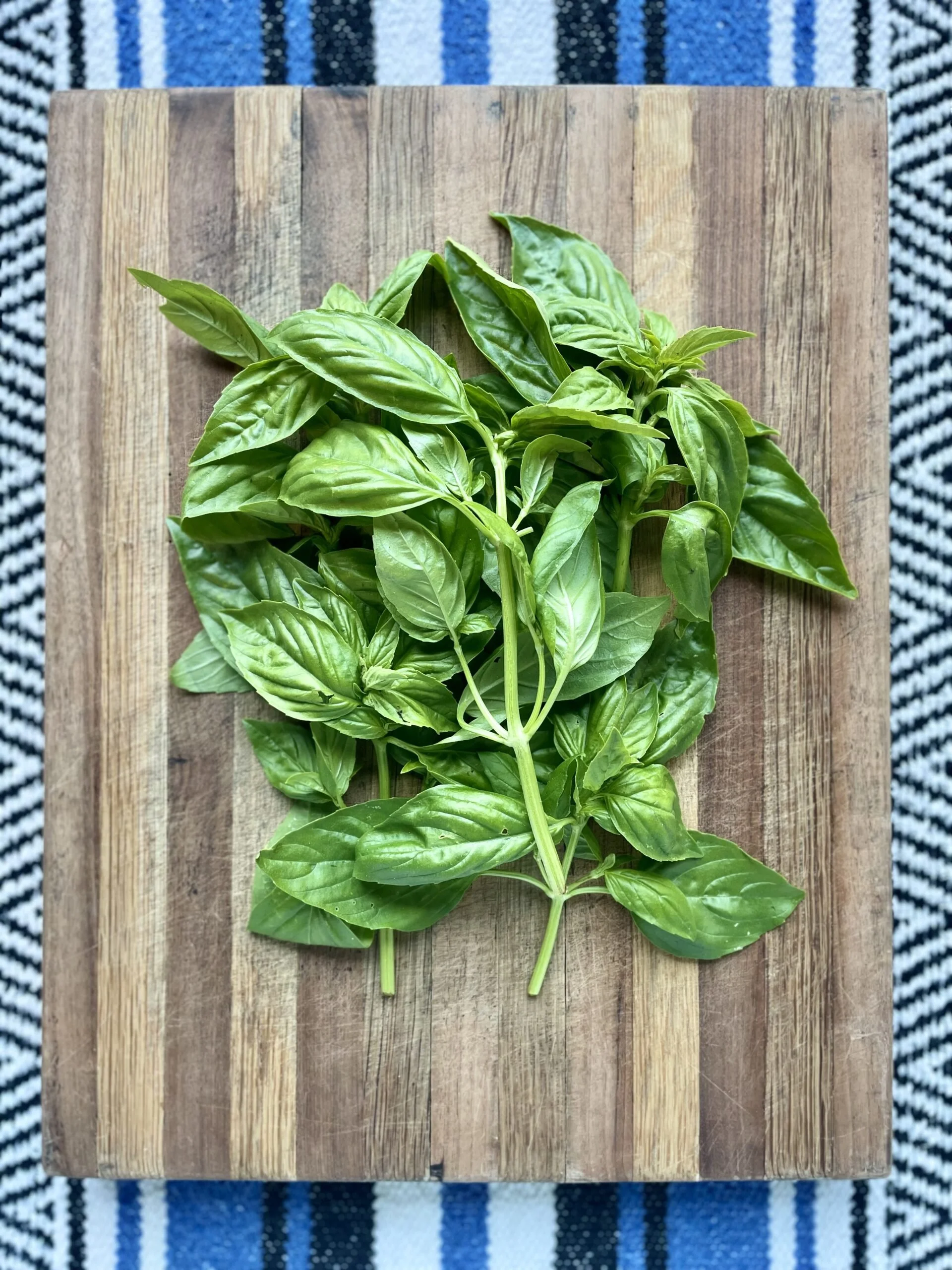 basil-vrdnt-scaled (3).jpg
