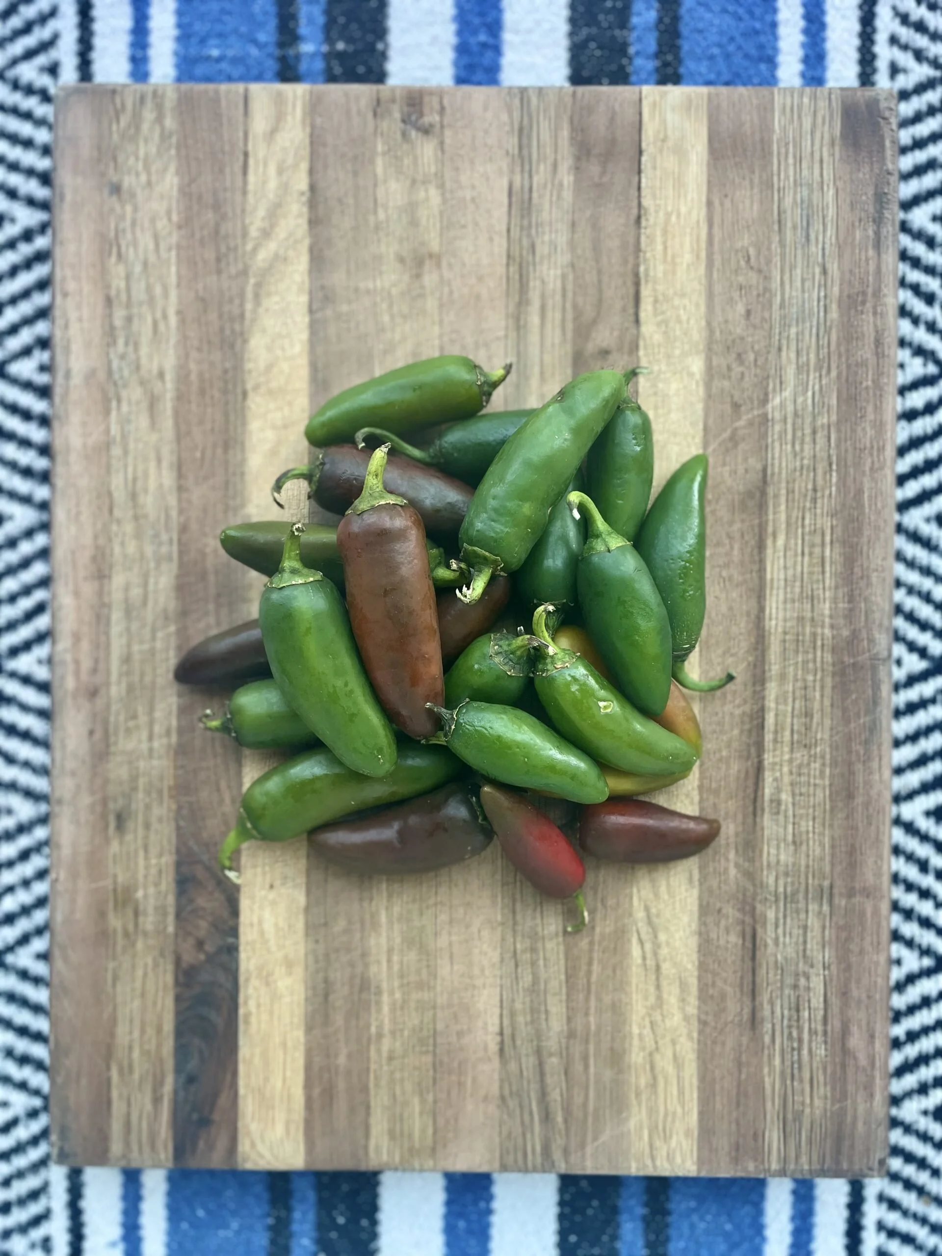 jalapenos-gundermann-scaled.jpg
