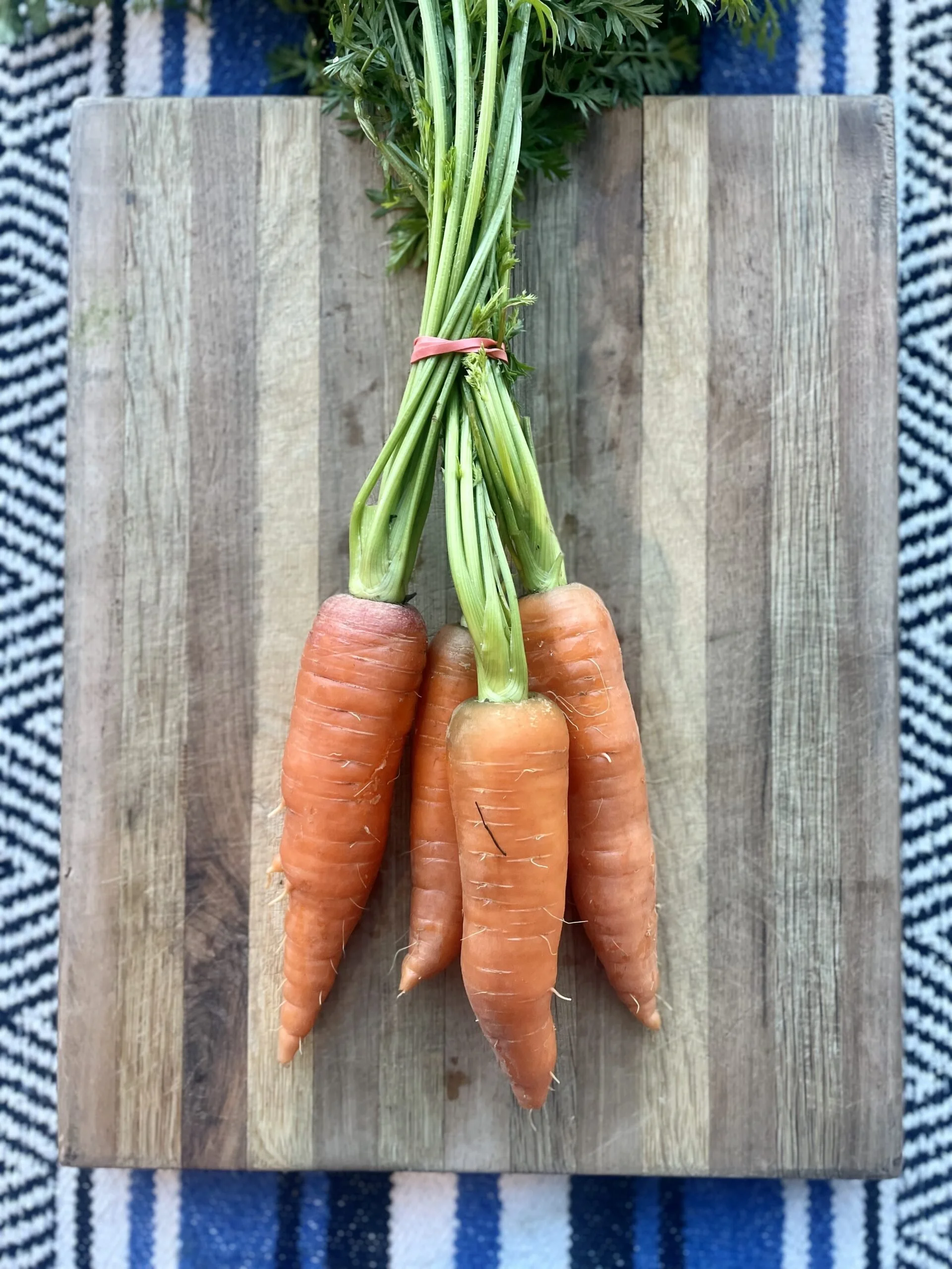 orange-carrots-gundermann-scaled.jpg